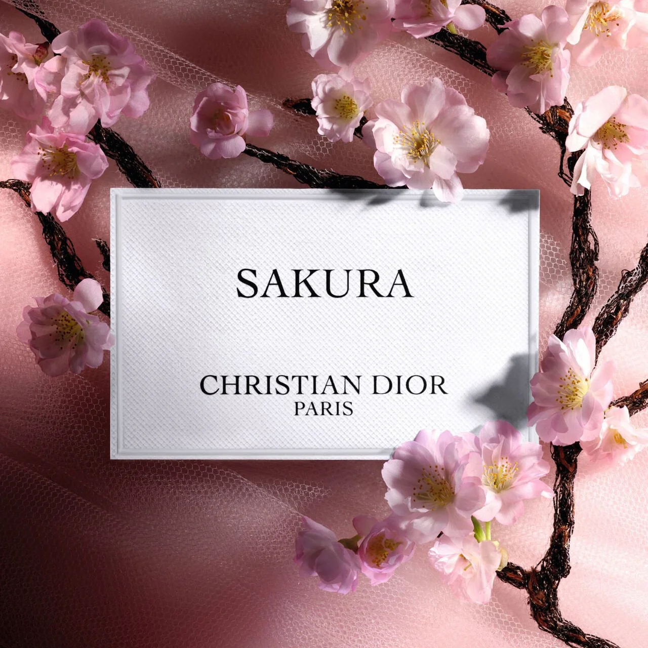 Dior Sakura EDP - Image 6