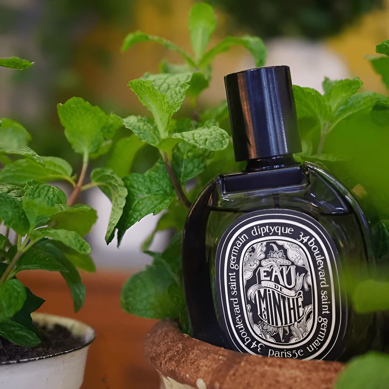 Diptyque Eau De Minthe EDP - Image 5