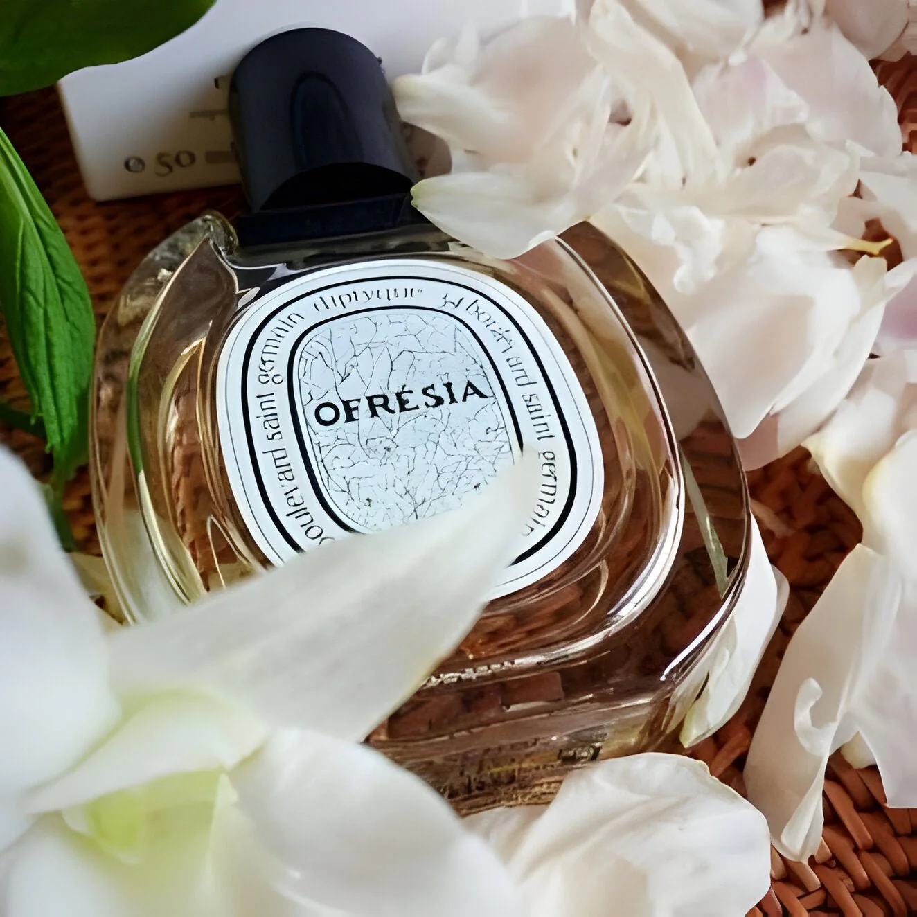 Diptyque Ofresia EDT - Image 3