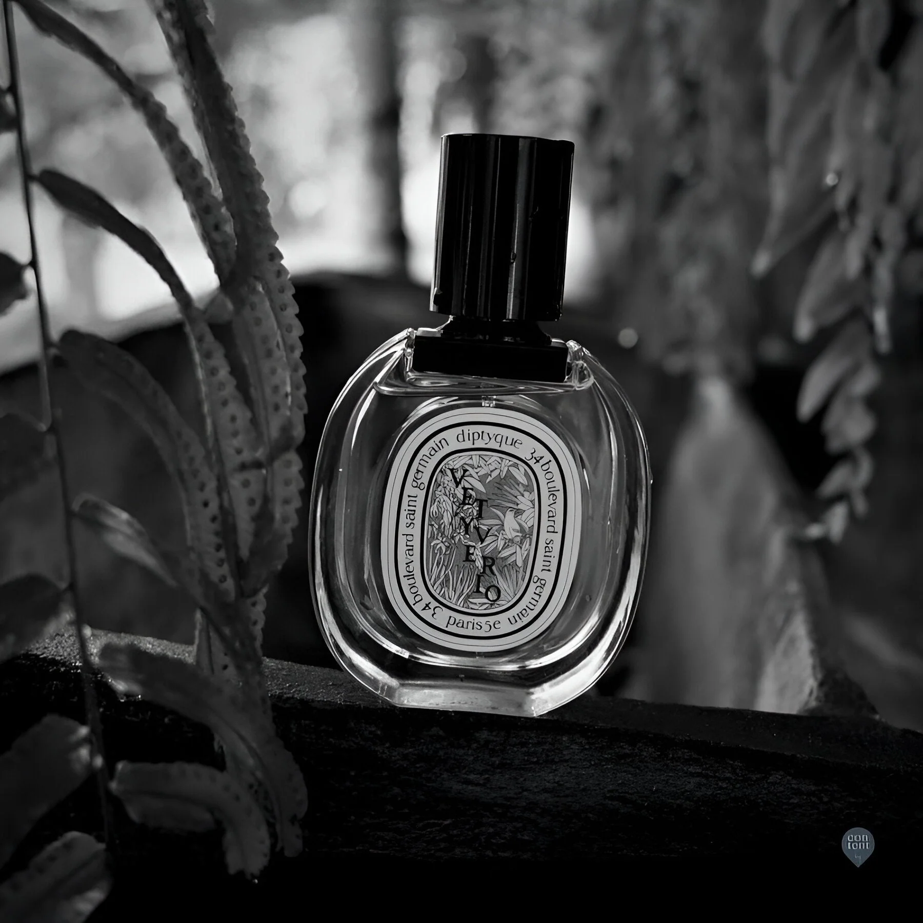 Diptyque Vetyverio EDP - Image 2
