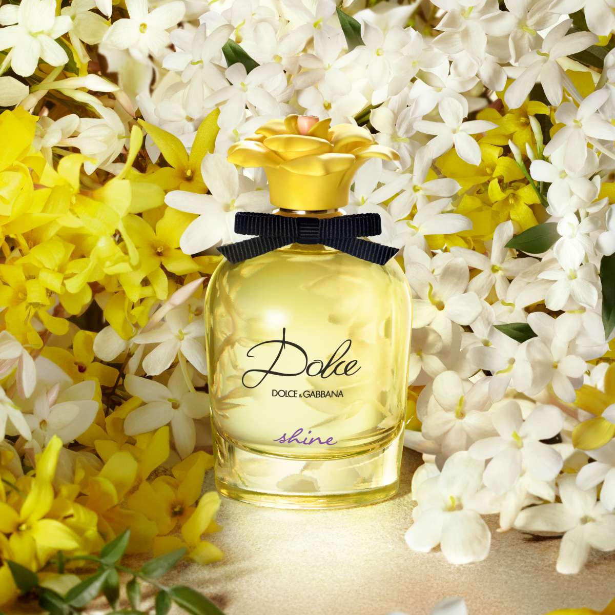 Dolce & Gabbana Dolce Shine EDP - Image 4