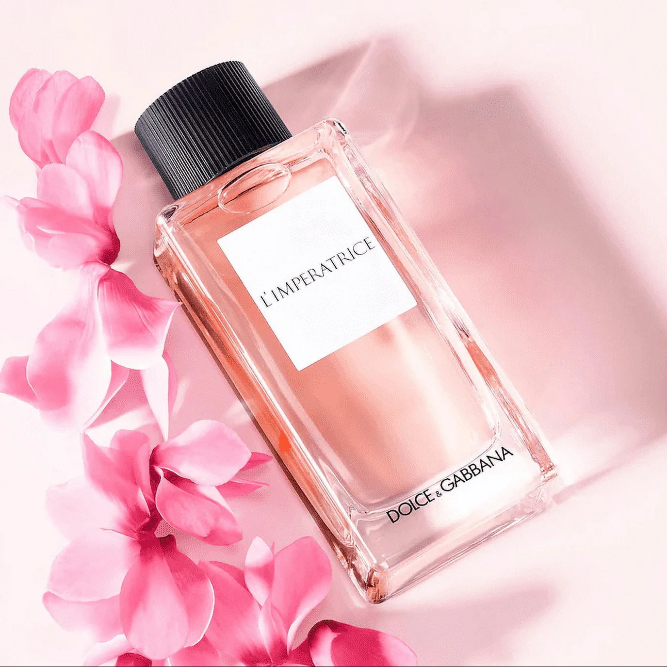 Dolce & Gabbana L'Imperatrice EDT Mini Gift Set - Image 4