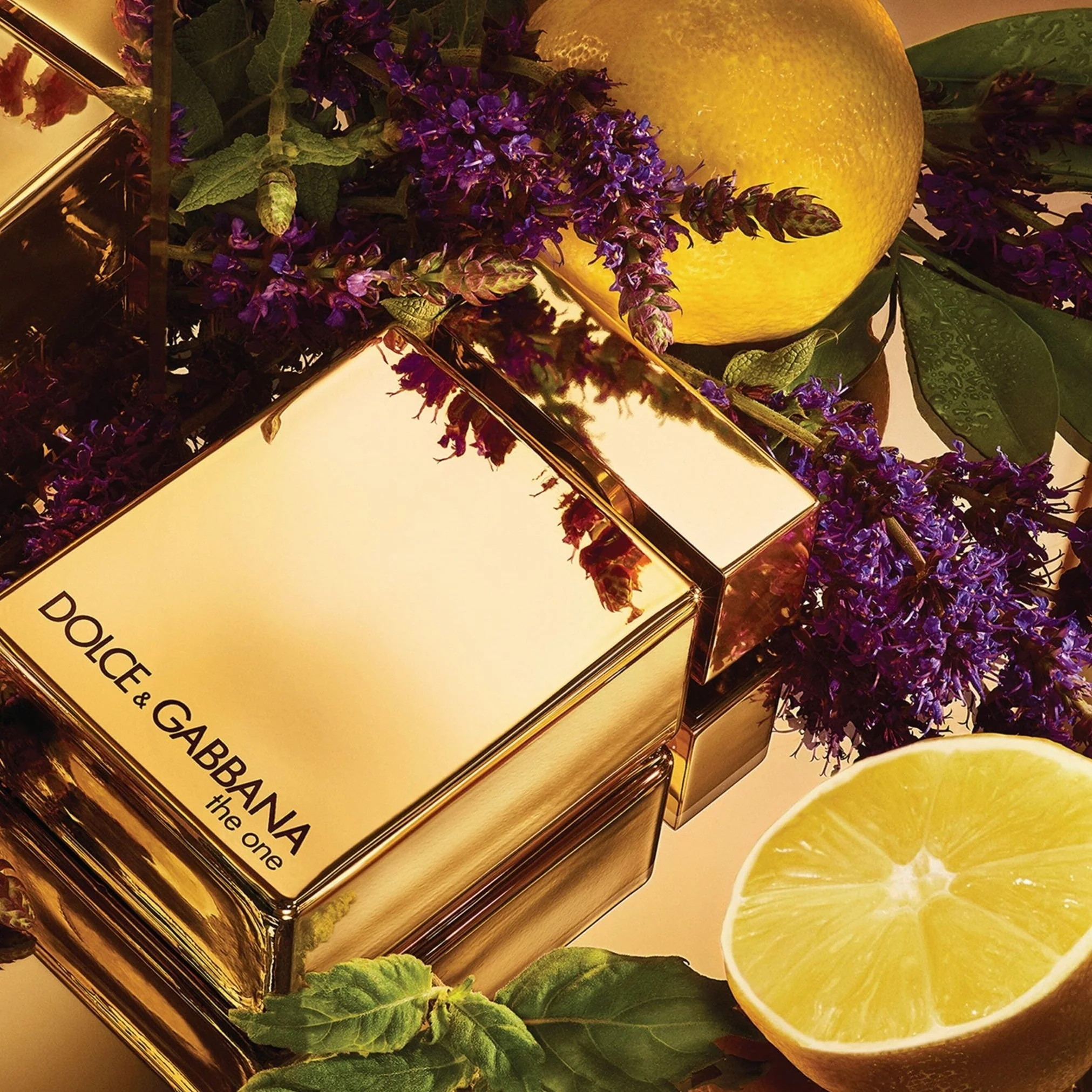 Dolce & Gabbana The One EDP For Women - Image 2