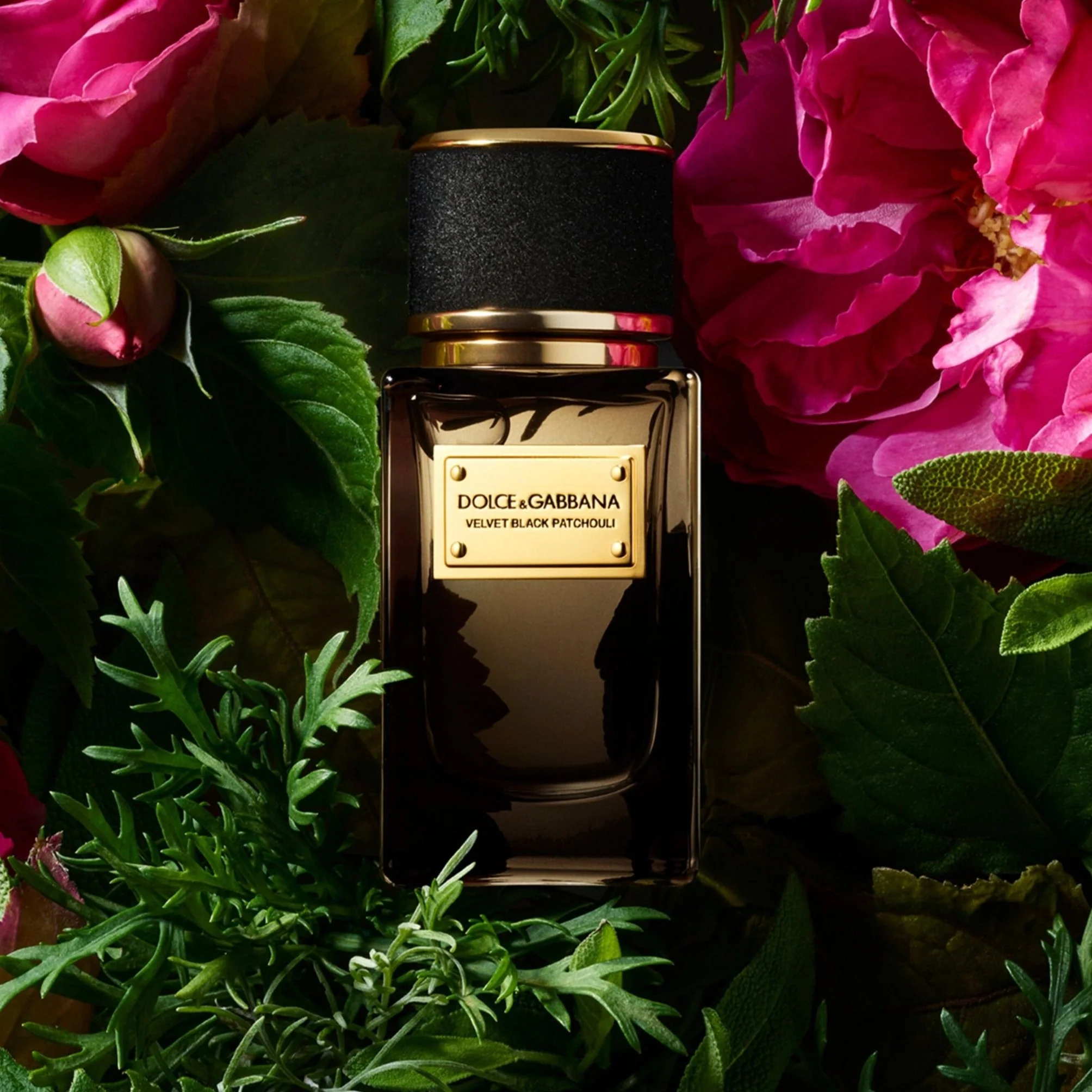 Dolce & Gabbana Velvet Black Patchouli EDP - Image 2