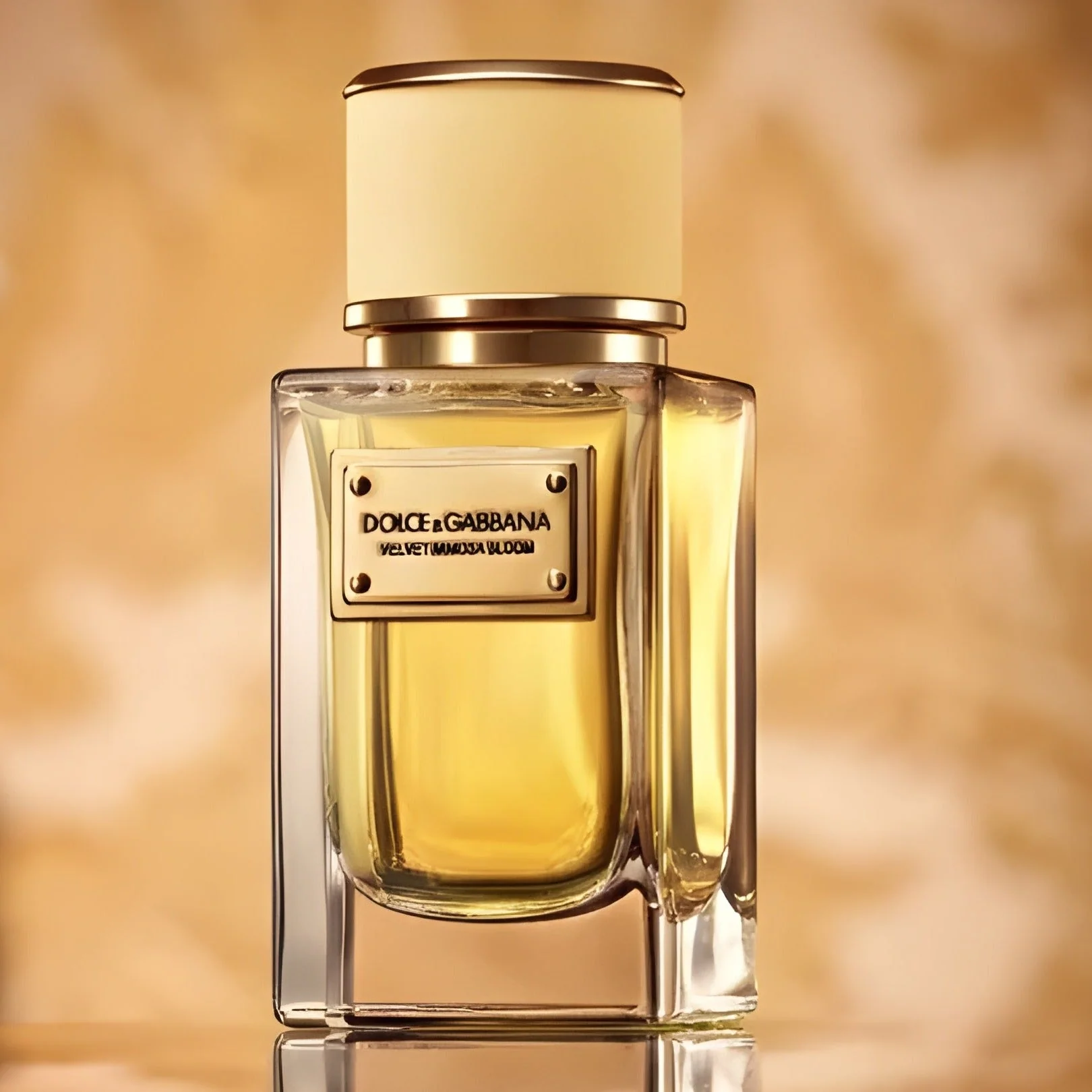 Dolce & Gabbana Velvet Mimosa Bloom EDP - Image 4