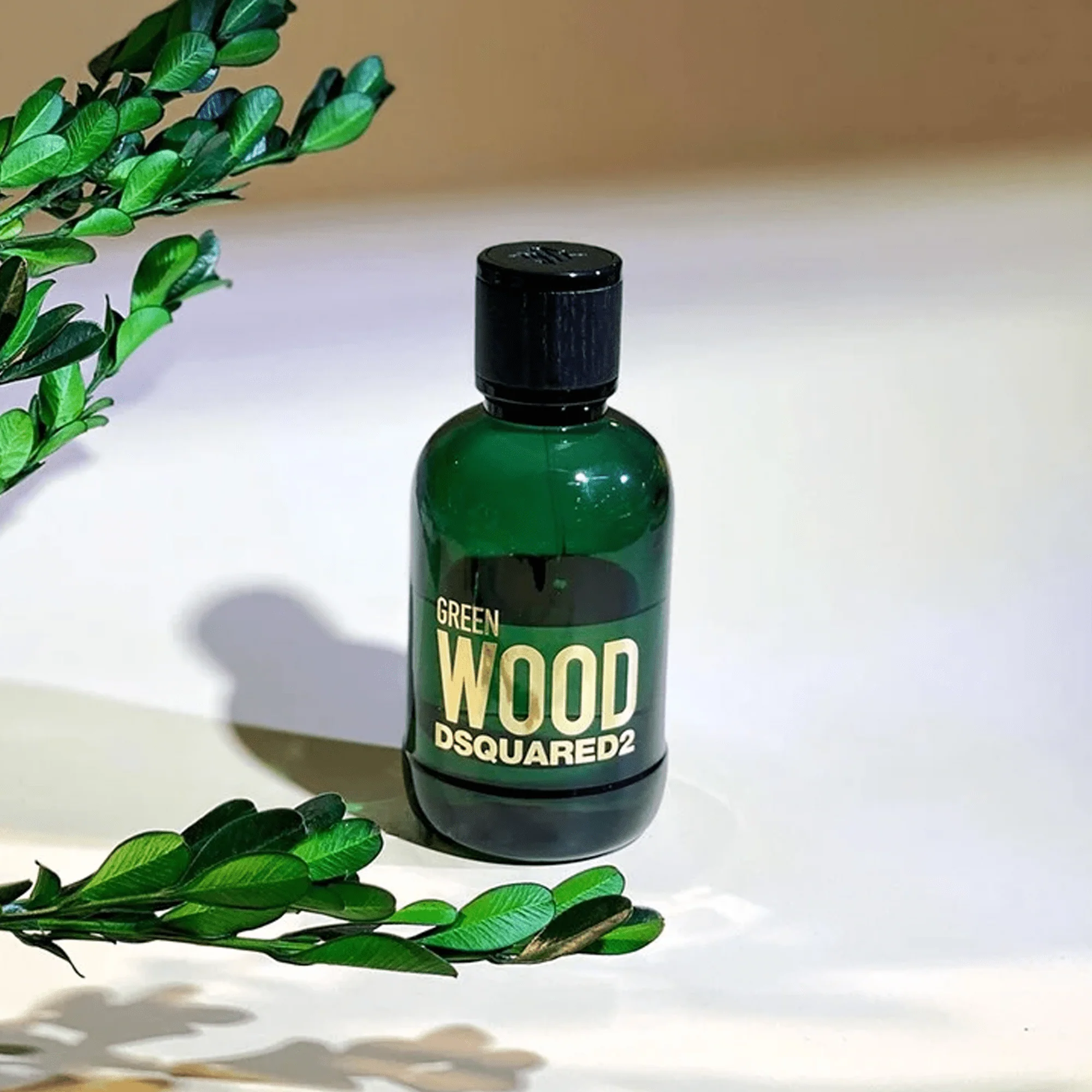 Dsquared2 Green Wood EDT - Image 4