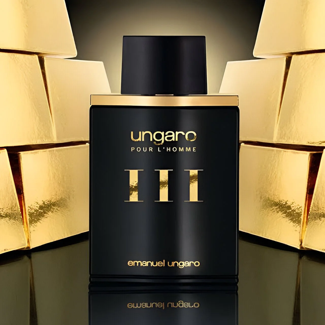 Emanuel Ungaro Ungaro Pour L'Homme Iii EDT - Image 2