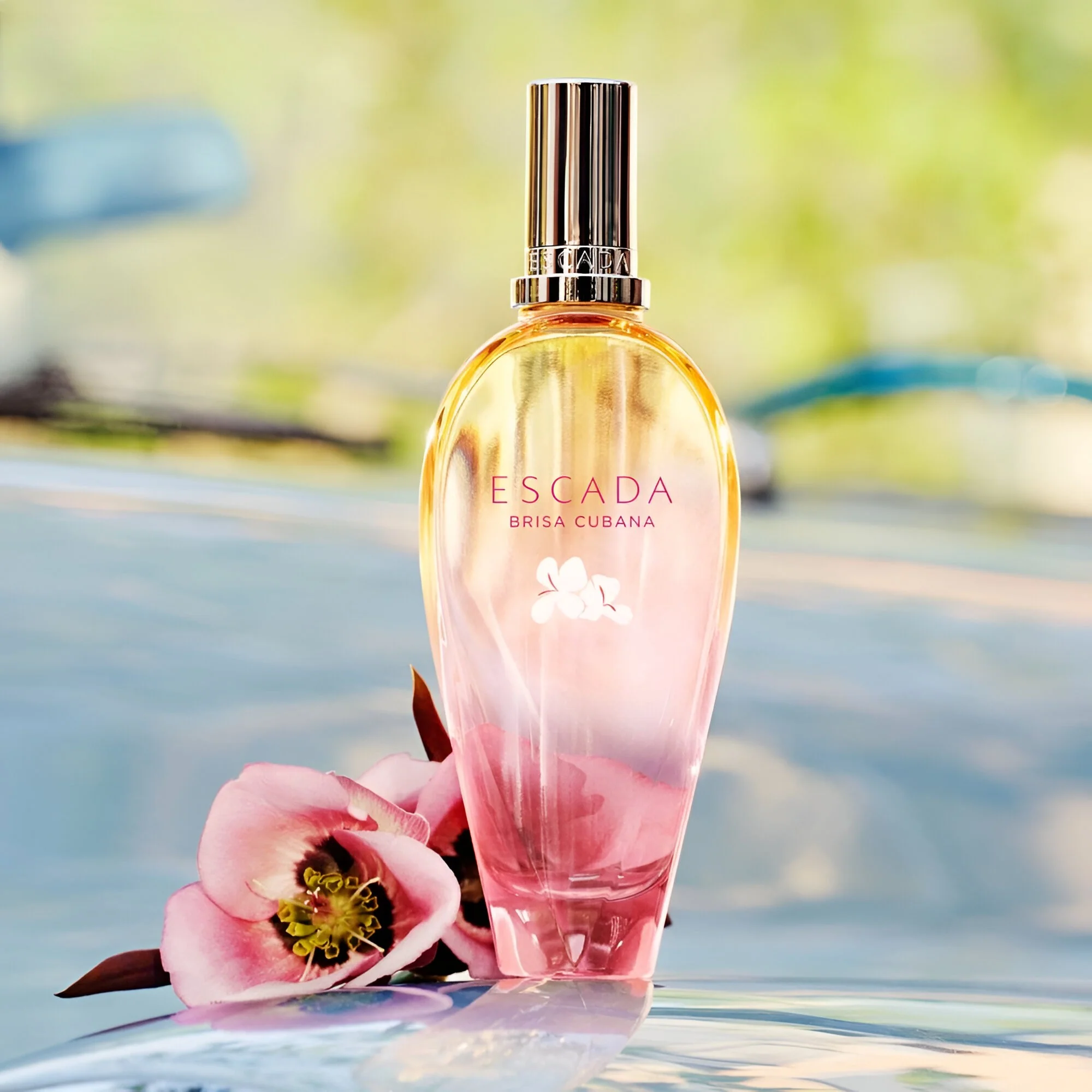Escada Brisa Cubana Limited Edition EDT For Women - Image 3