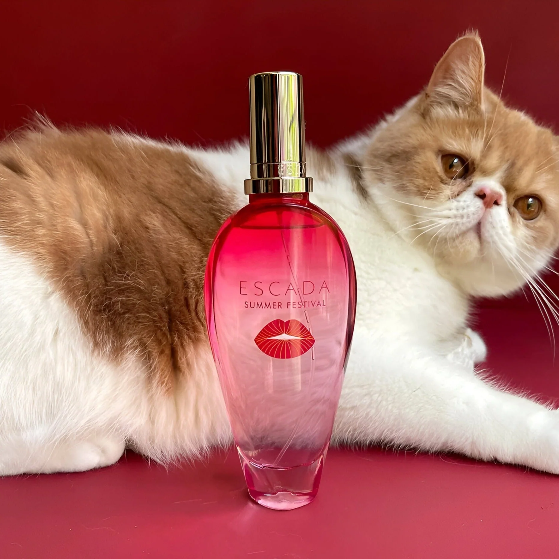 Escada Summer Festival Limited Edition EDT - Image 3