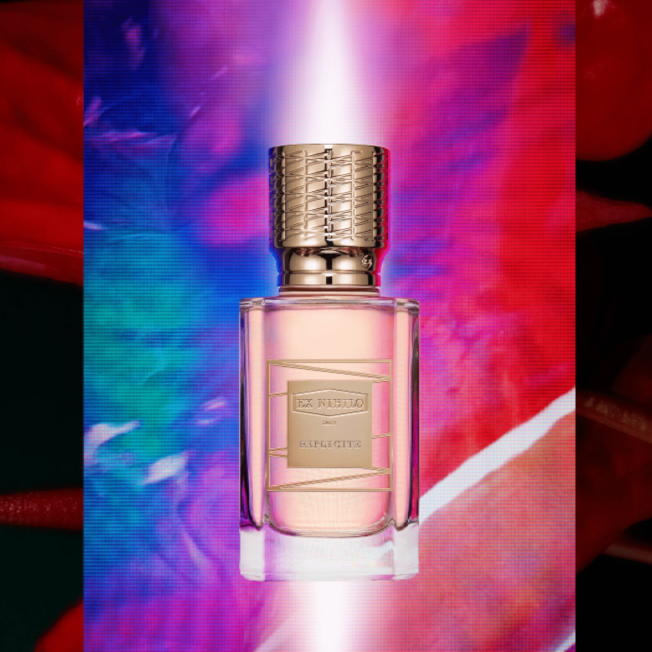 Ex Nihilo Explicite EDP - Image 2