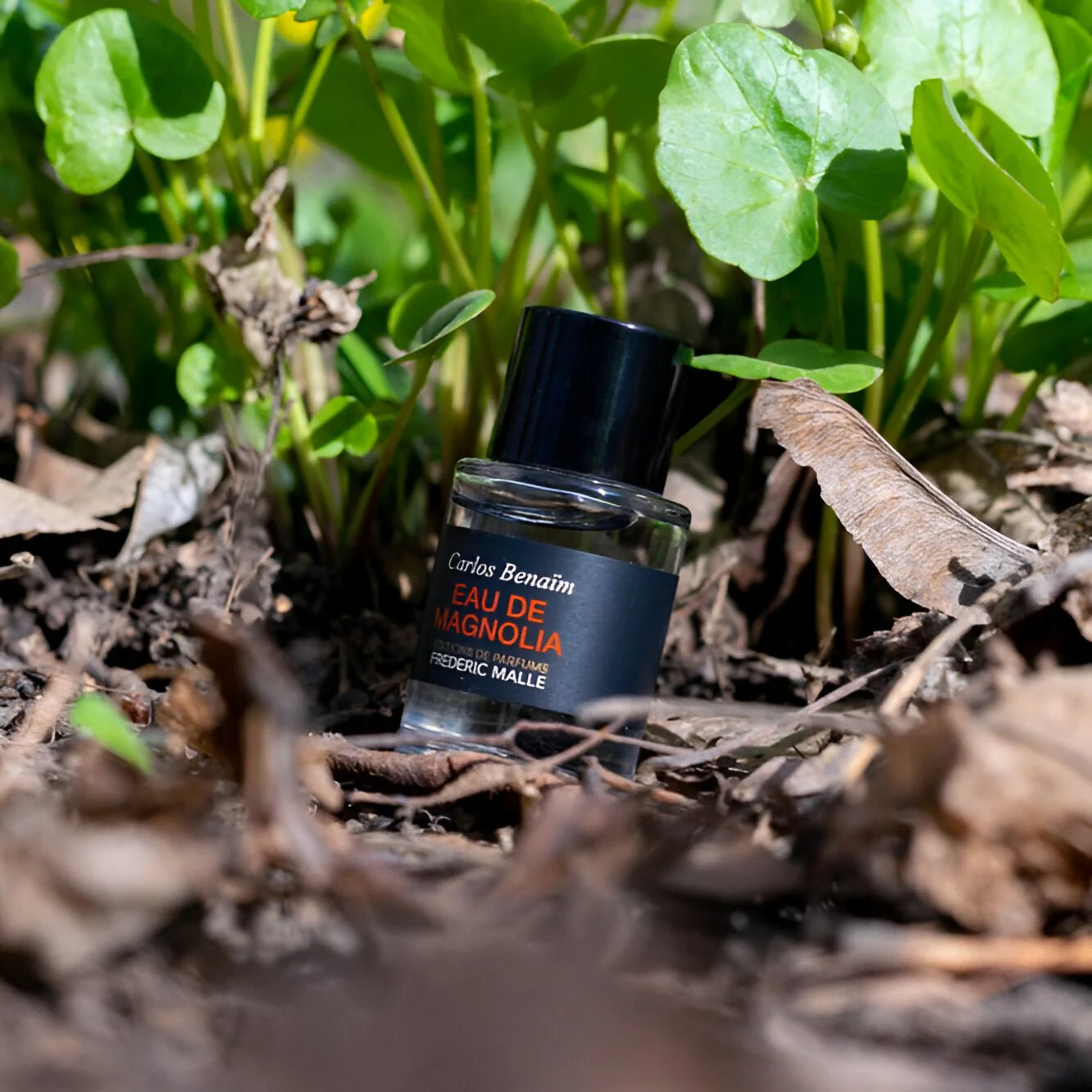 Frederic Malle Eau De Magnolia EDT - Image 4