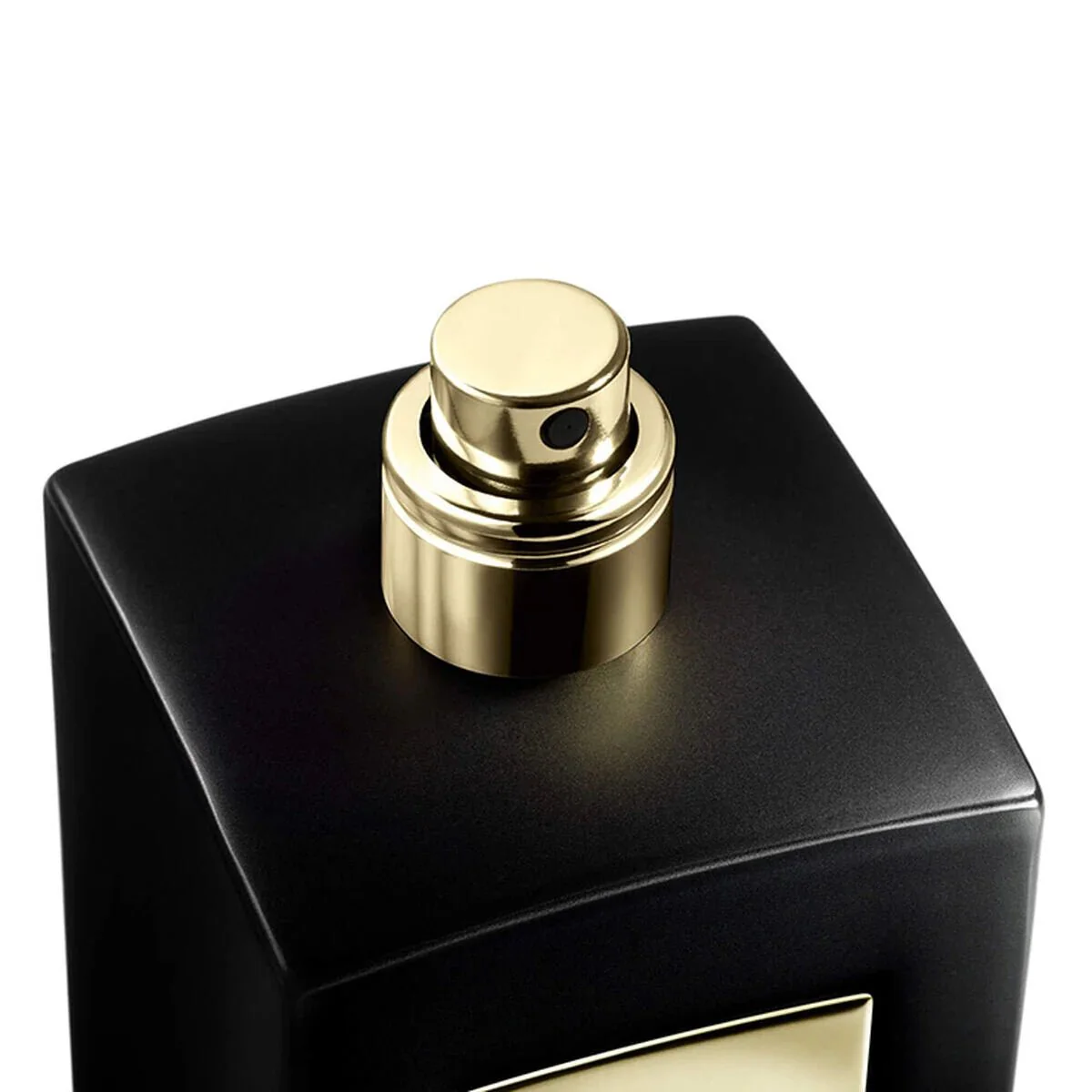 Giorgio Armani Prive Cuir Noir EDP Intense - Image 2
