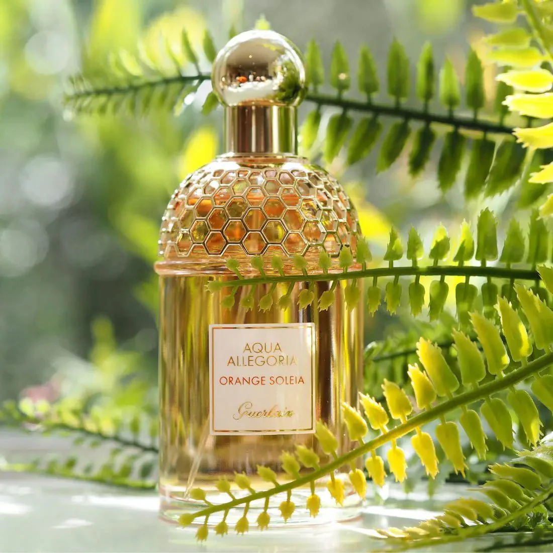 Guerlain Aqua Allegoria Orange Soleia EDT - Image 2