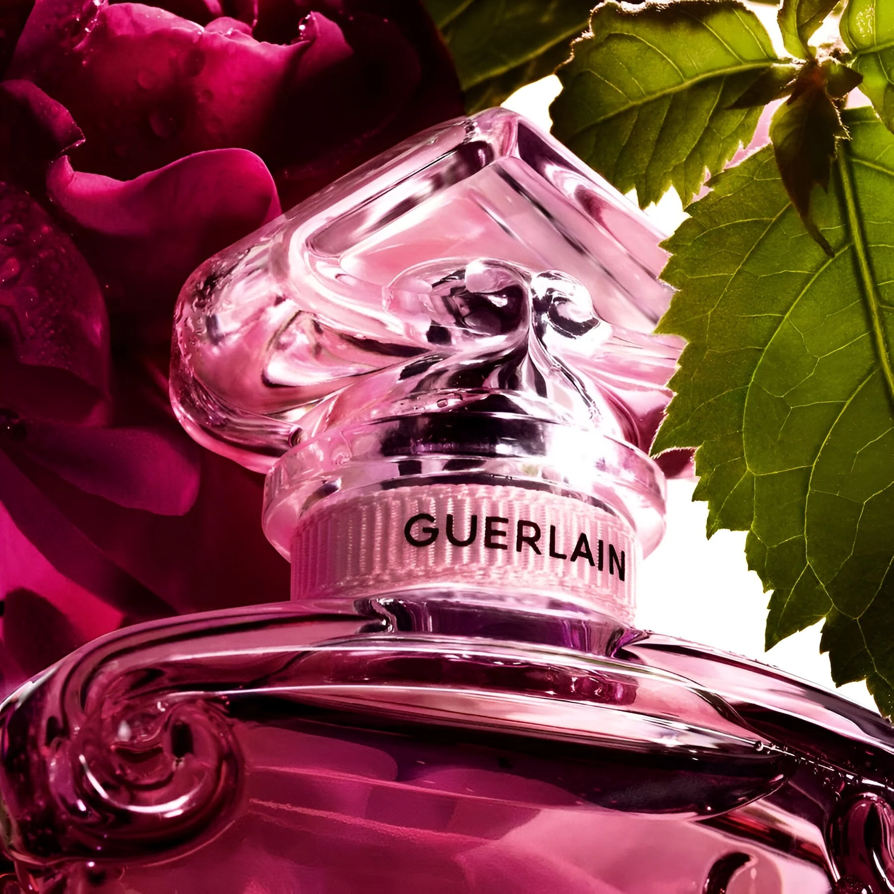 Guerlain La Petite Robe Noire EDP - Image 3