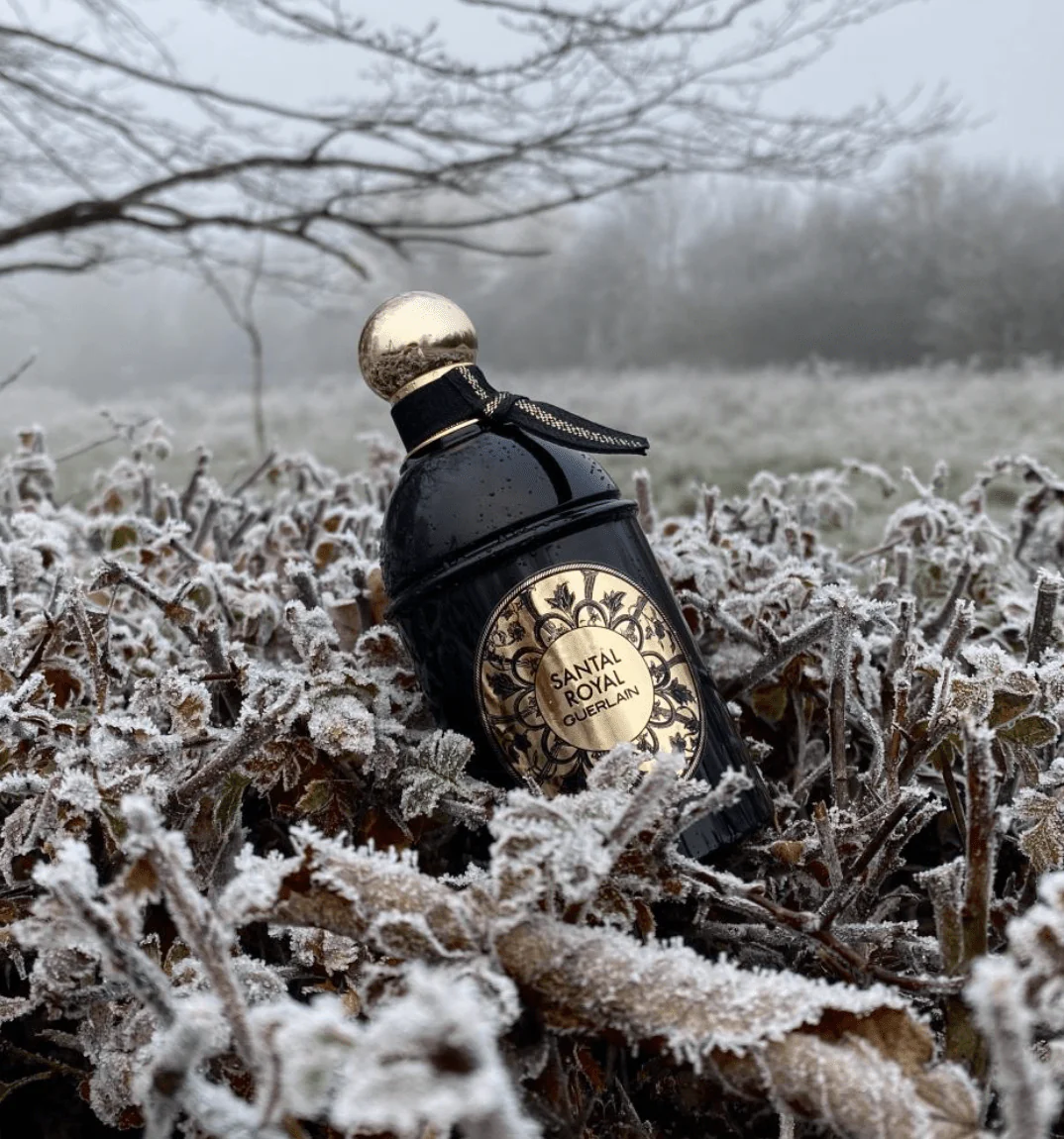 Guerlain Santal Royal EDP - Image 3