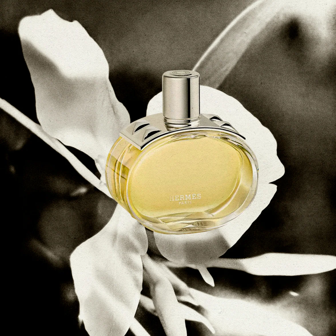 Hermes Barenia EDP - Image 3