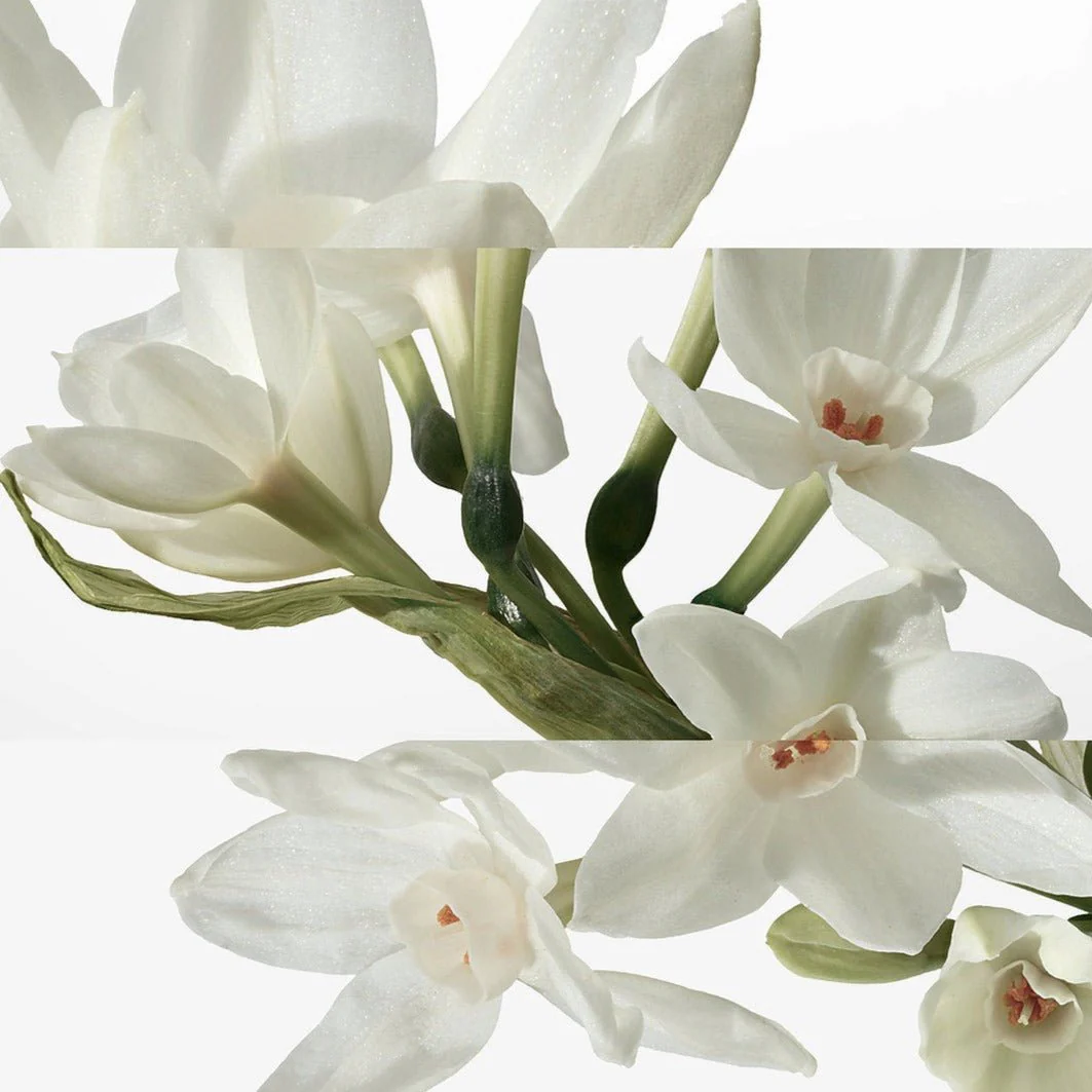 Hermes H24 Deodorant Spray - Image 3