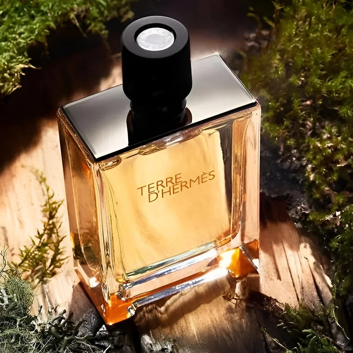 Hermes Terre D'Hermes EDT For Men Gift Set - Image 2