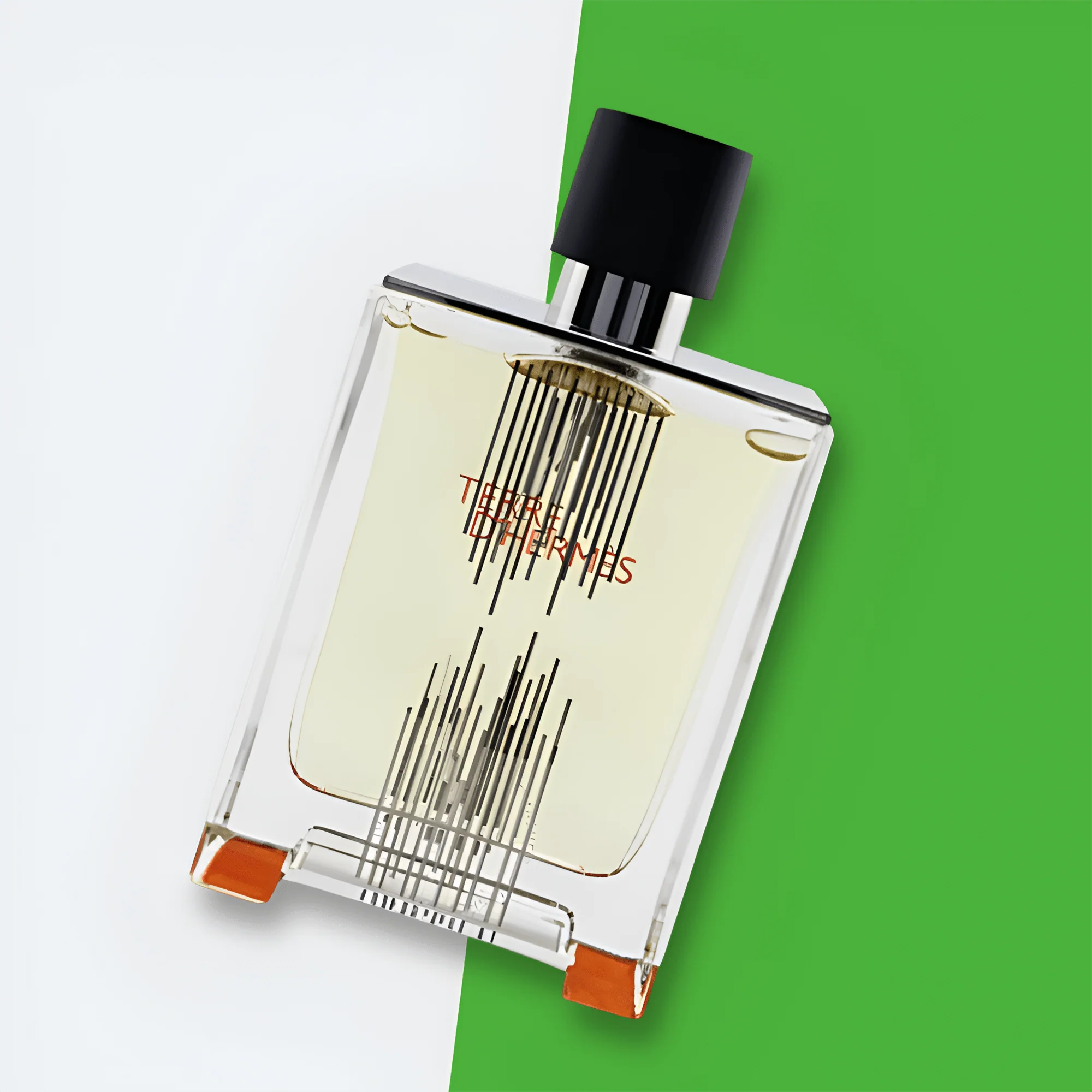 Hermes Terre D'Hermes Falcon H 2021 Limited Edition EDT - Image 3
