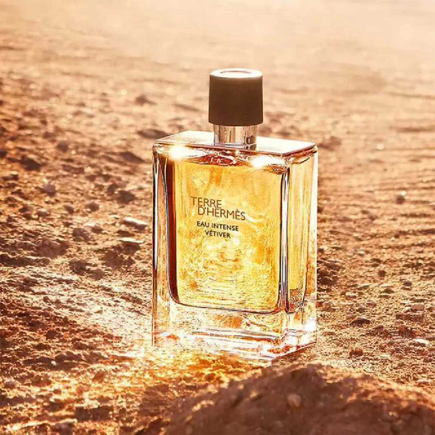 Hermes Terre D'Hermes Parfum For Men Shower Gel Gift Set - Image 2