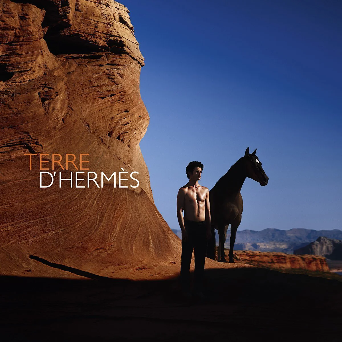 HERMÈS Terre d'HERMÈS Shampoo - Image 3