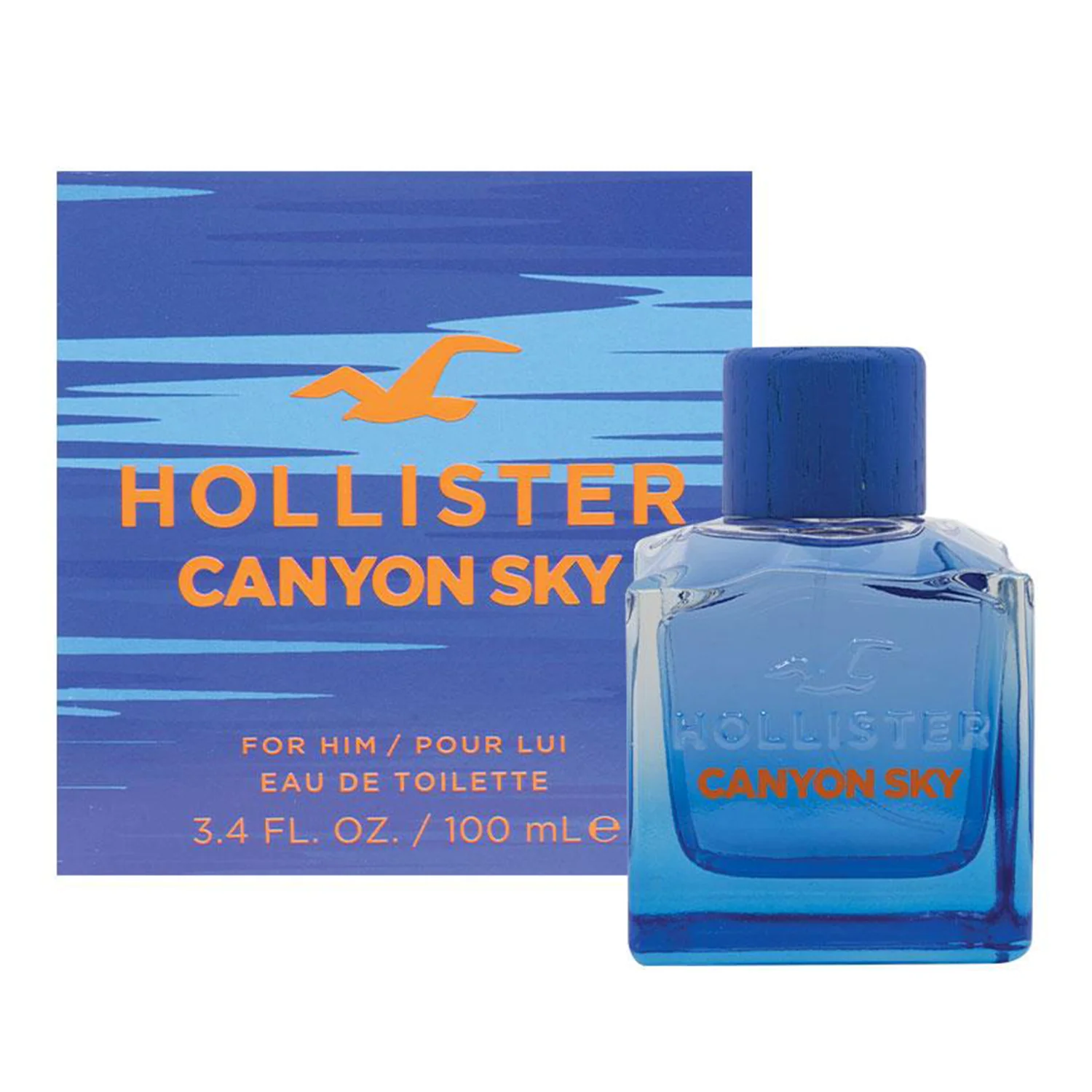 Hollister Canyon Sky EDT - Image 5