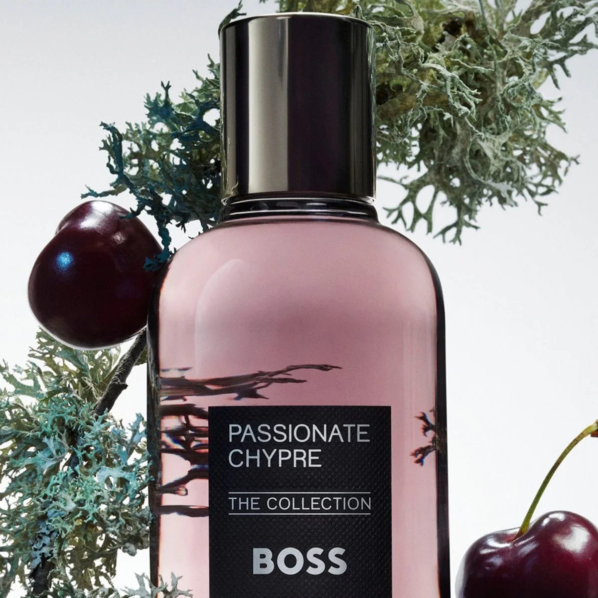 Hugo Boss Boss The Collection Passionate Chypre EDP - Image 2