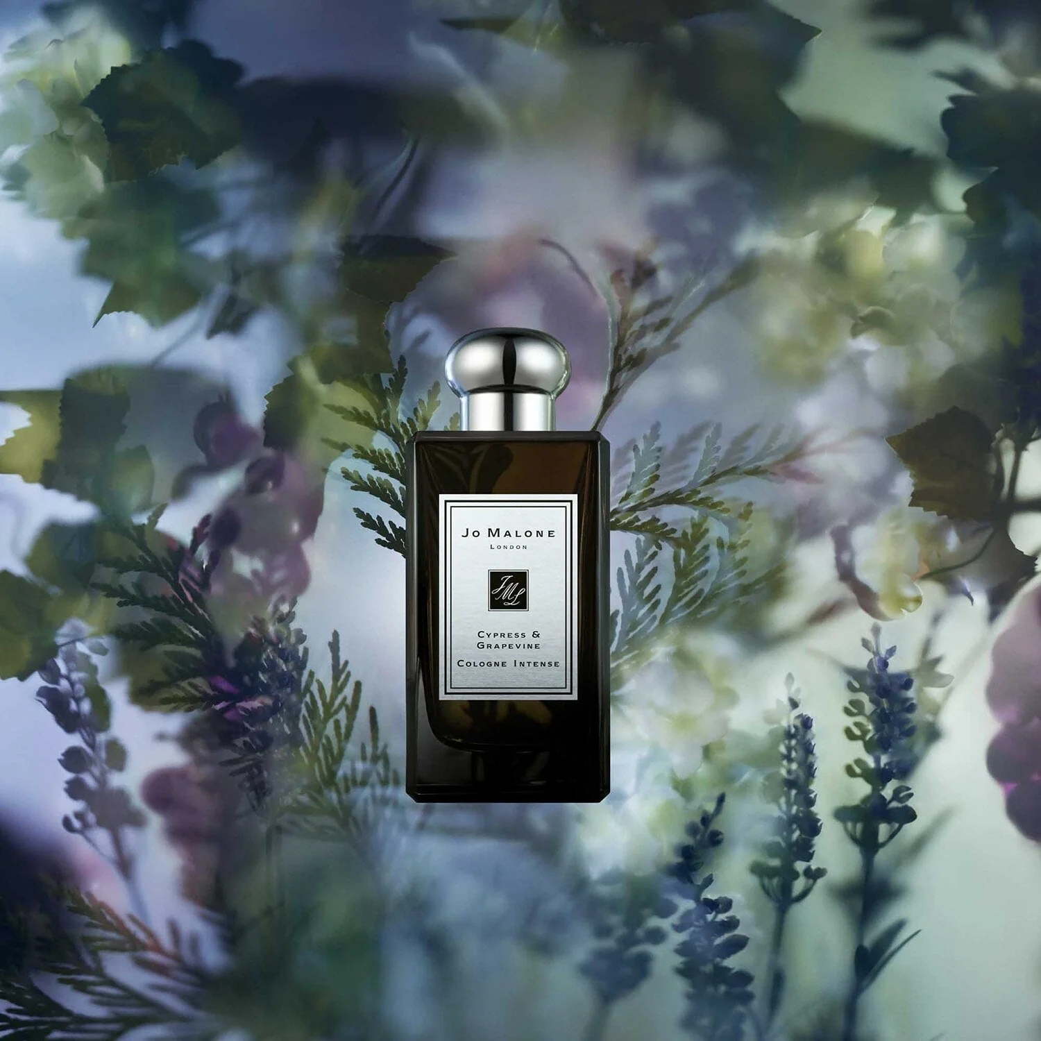 Jo Malone Cypress & Grapevine Intense EDC - Image 2
