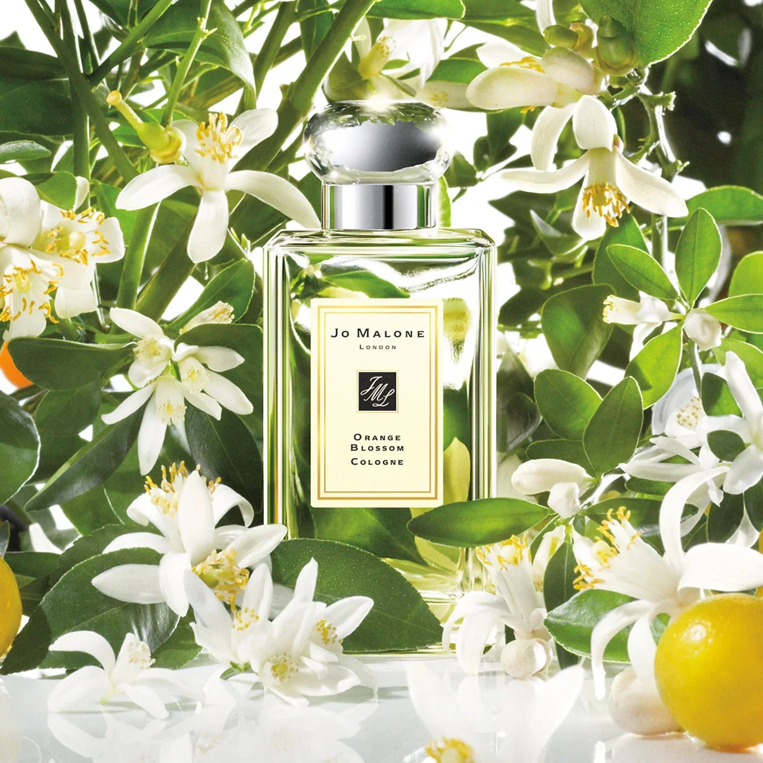 Jo Malone Mr. Malone Travel Gift Set - Image 4