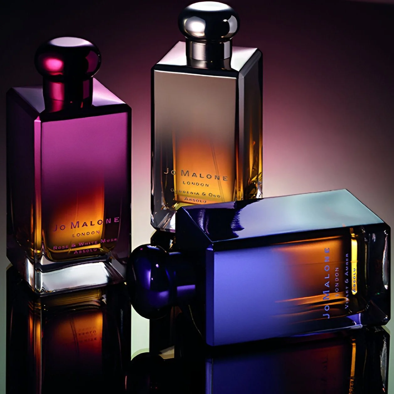 Jo Malone Rose & White Musk Absolu Cologne - Image 3