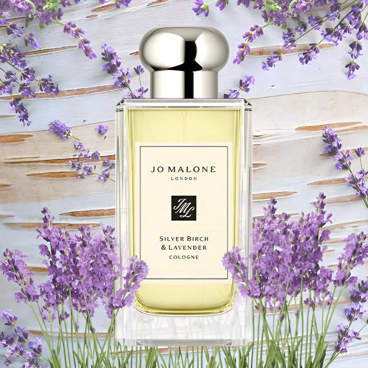 Jo Malone Silver Birch & Lavender Cologne - Image 3