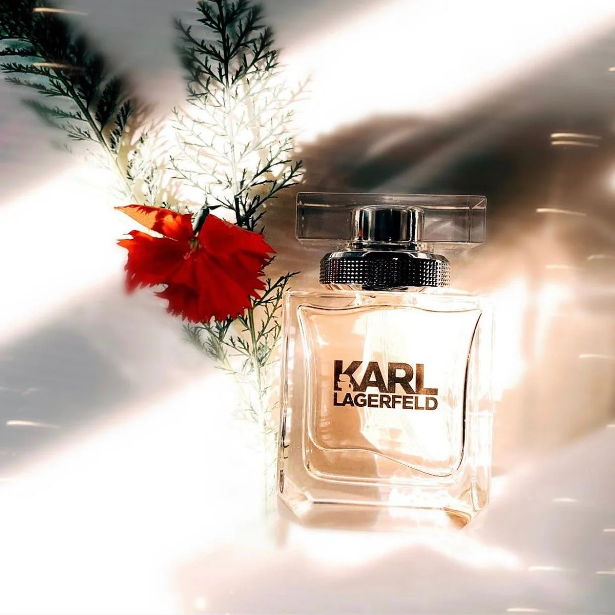 Karl Lagerfeld For Her EDP - Image 2