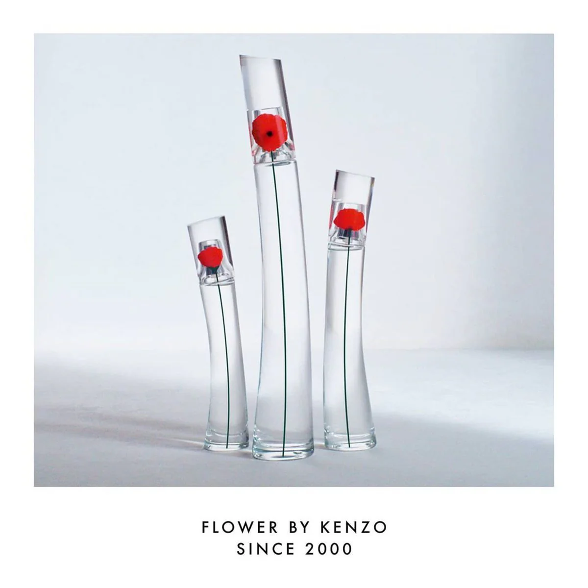 Kenzo Flower EDP - Image 7