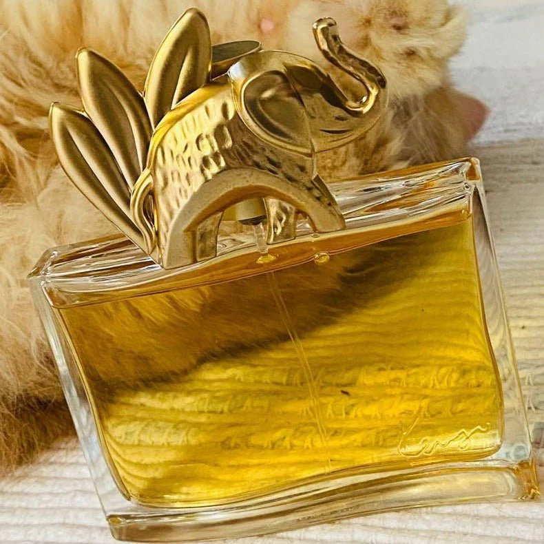 Kenzo Jungle L'Elephant EDP - Image 3