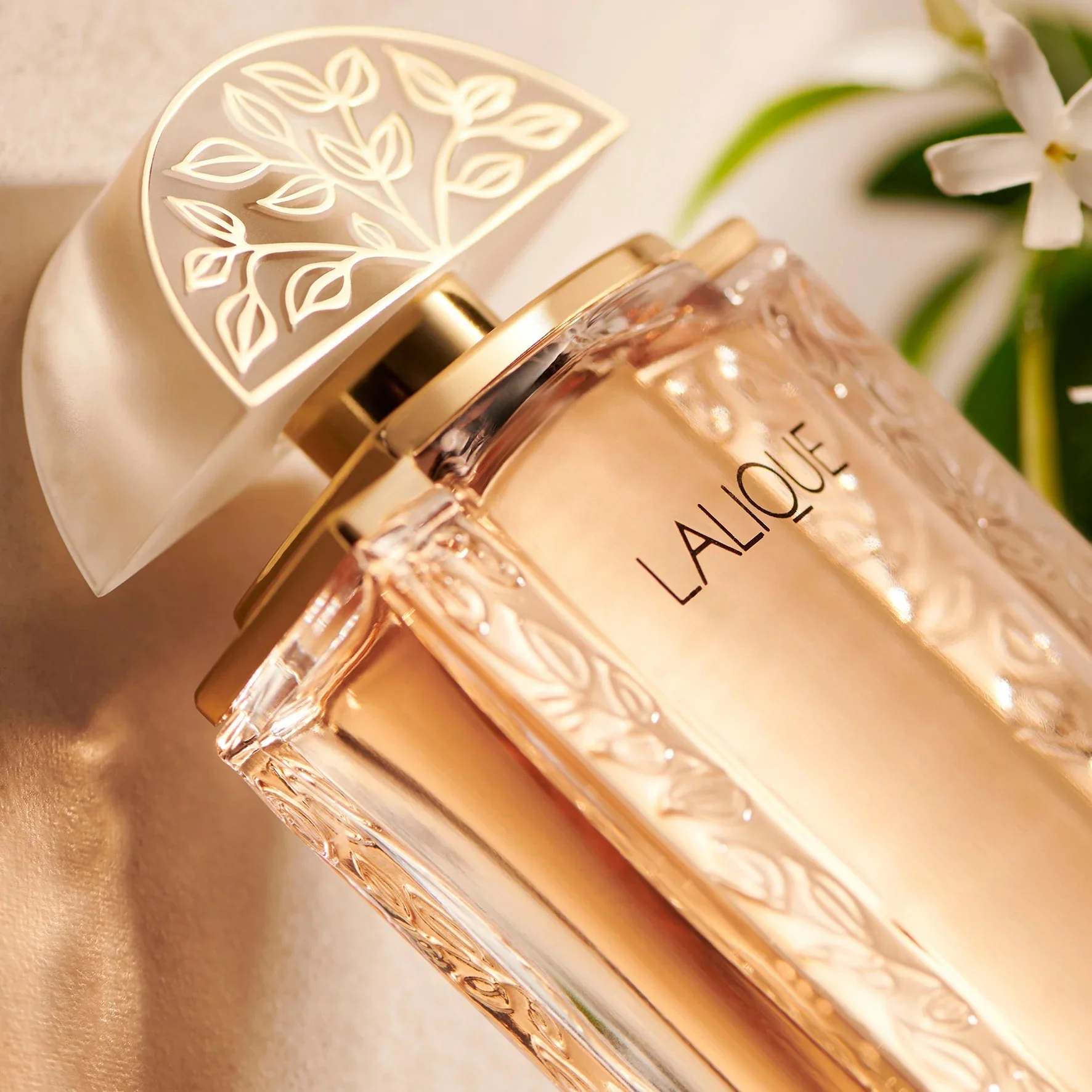 Lalique EDP - Image 2