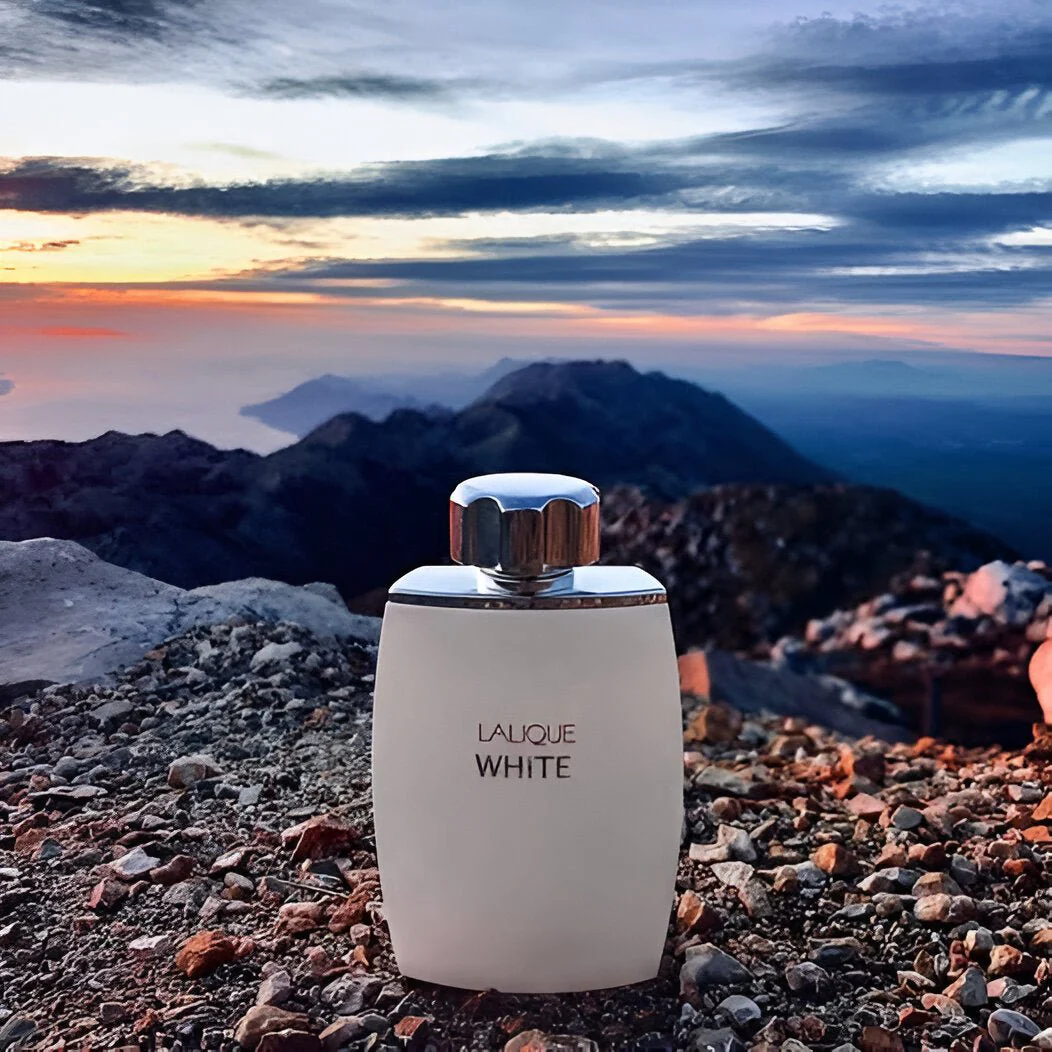 Lalique White EDT - Image 4