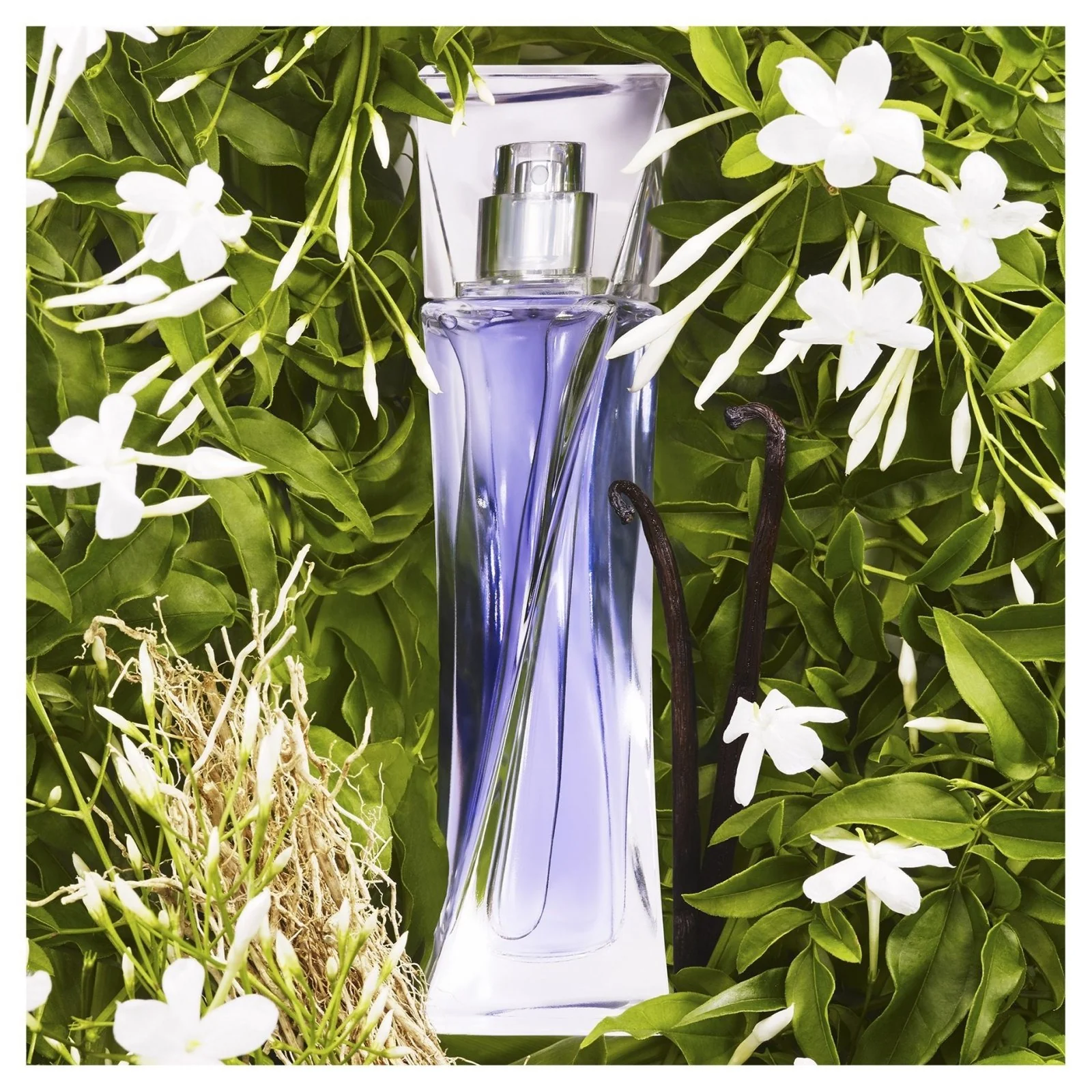 Lancome Hypnose EDP - Image 2