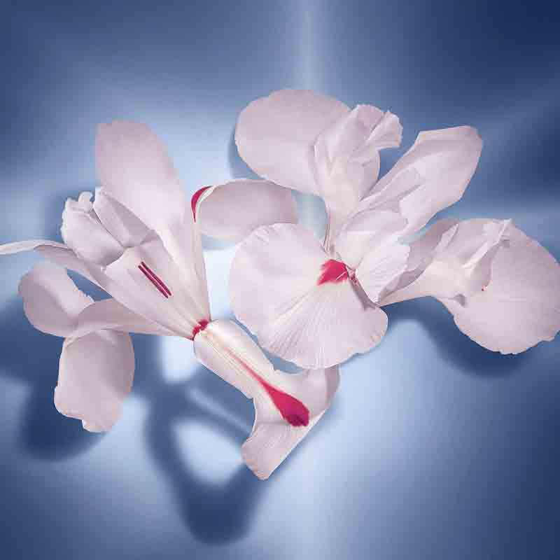 Lancome La Vie Est Belle Silk Hair Mist - Image 3