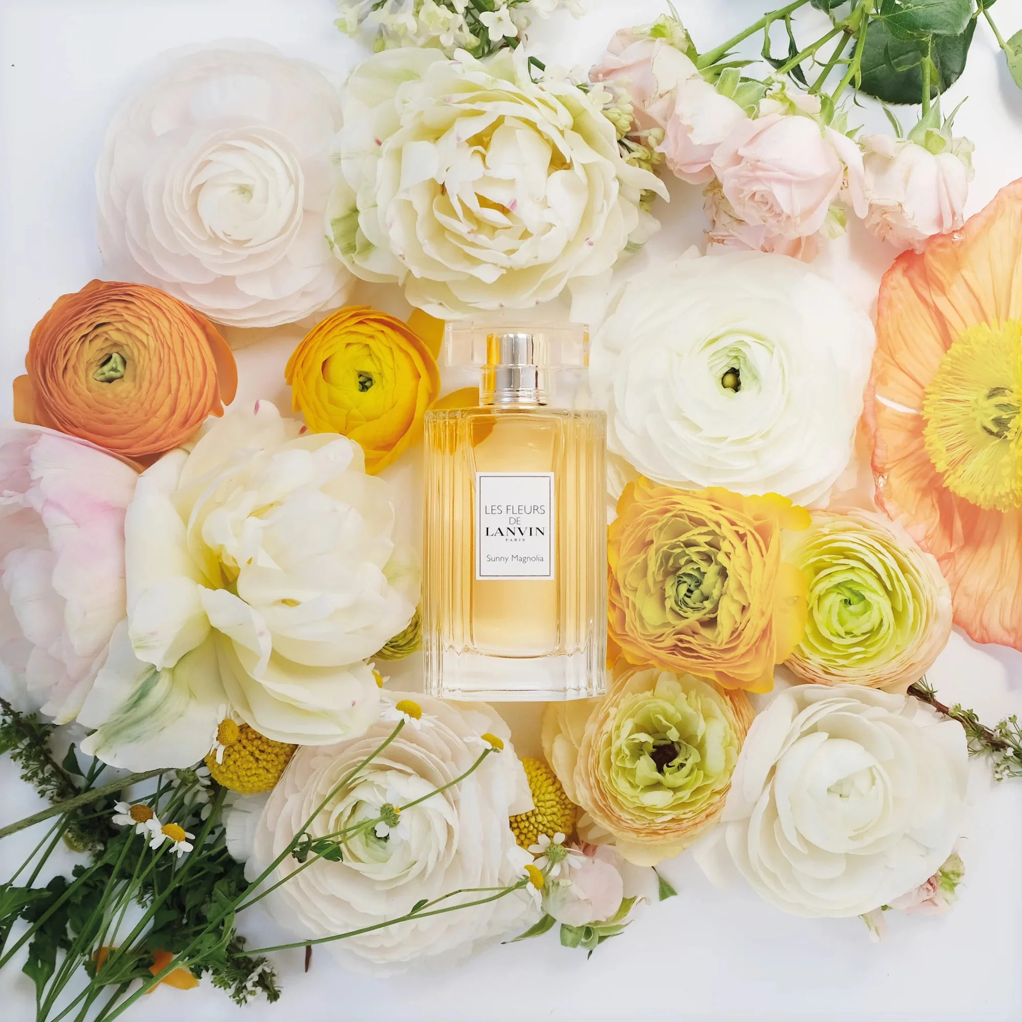 Lanvin Les Notes De Lanvin Sunny Magnolia EDT - Image 3