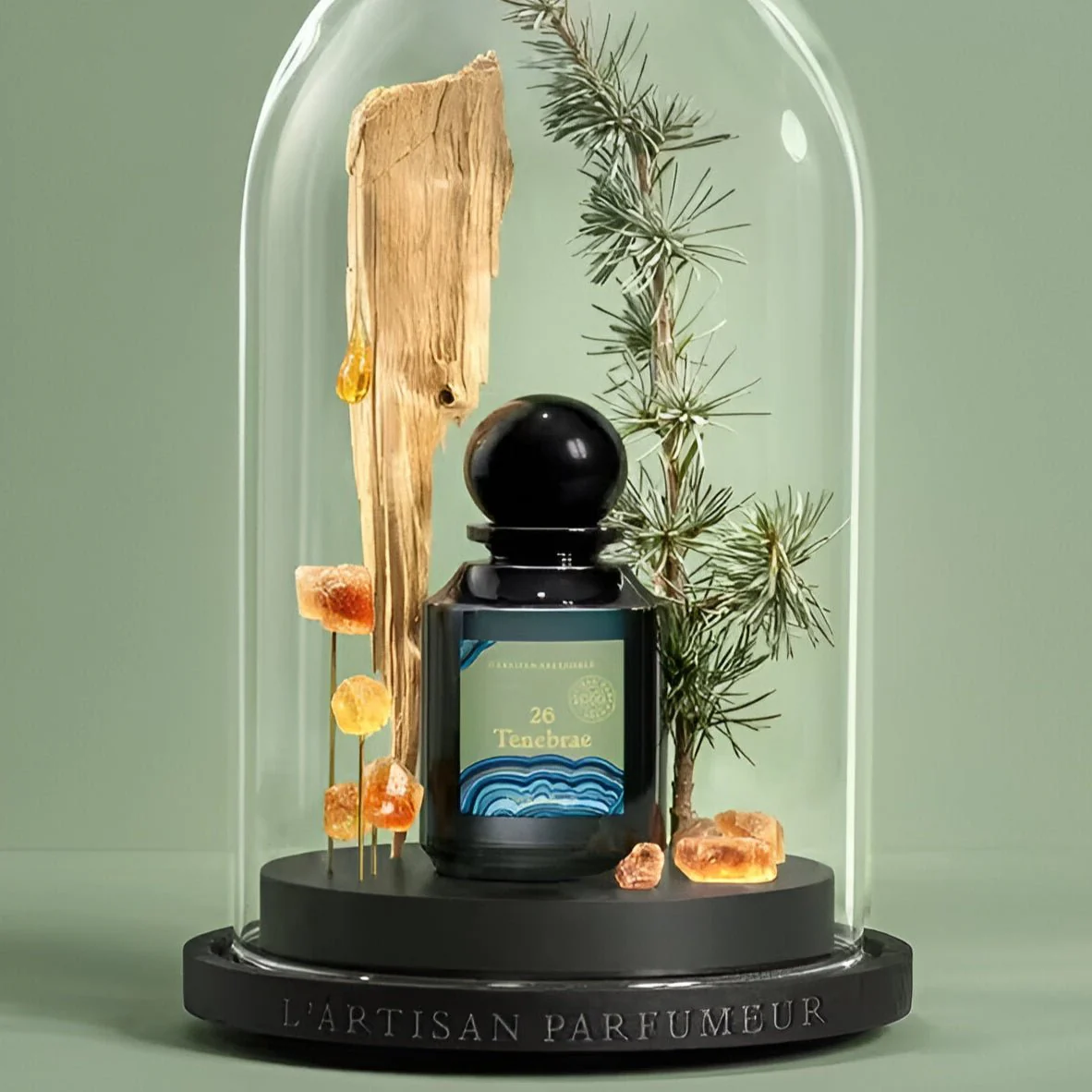 L'Artisan Parfumeur 26 Tenebrae EDP - Image 2