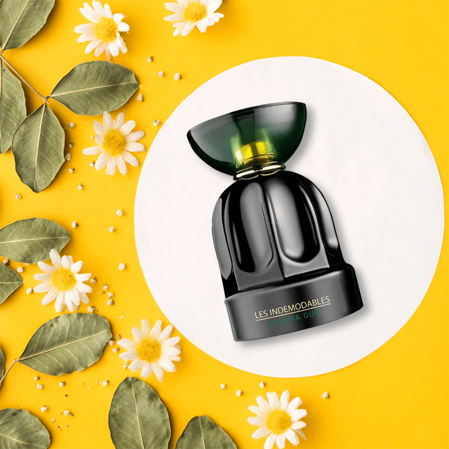 Les Indemodables Riviera Oud EDP - Image 2