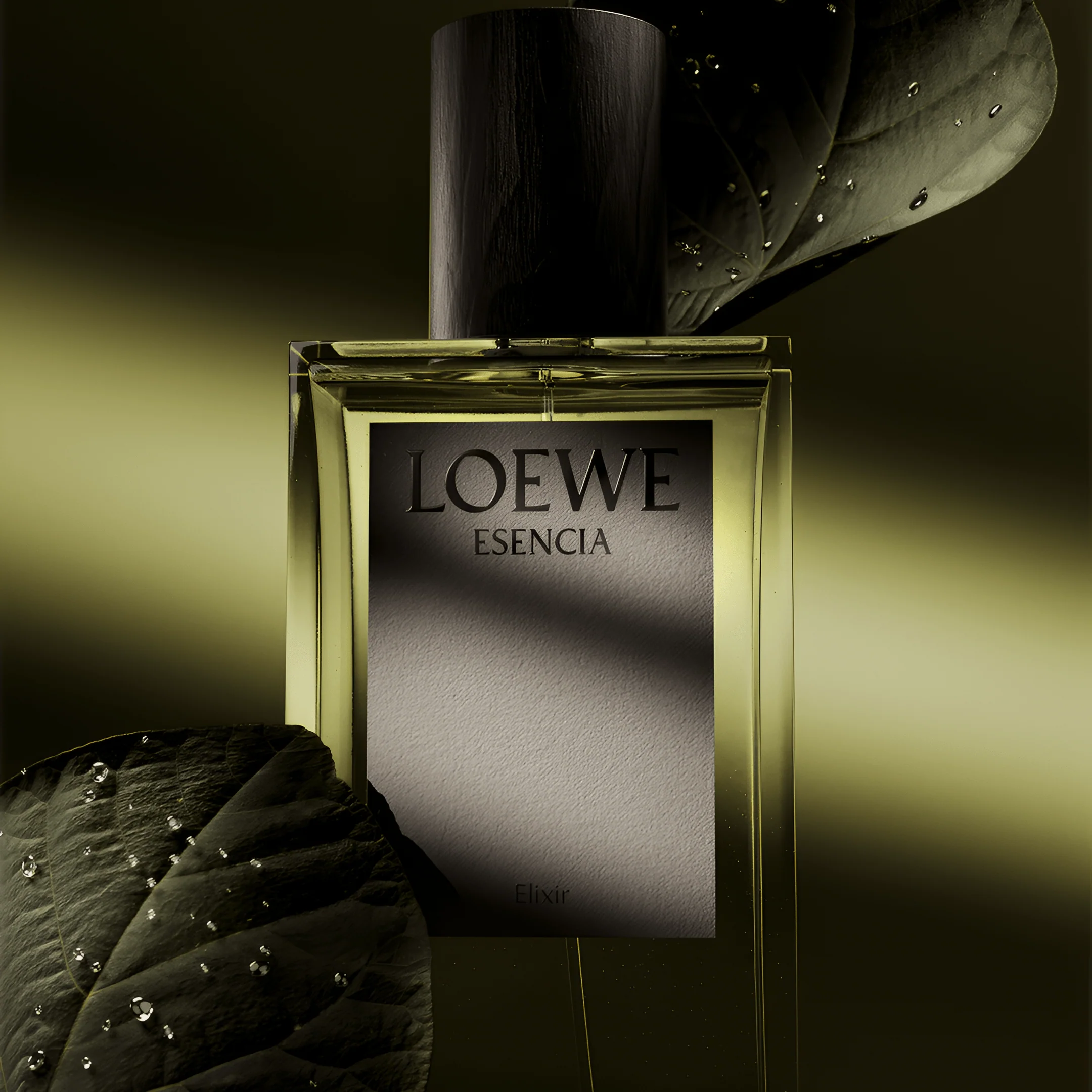 Loewe Esencia Dio Spray - Image 2