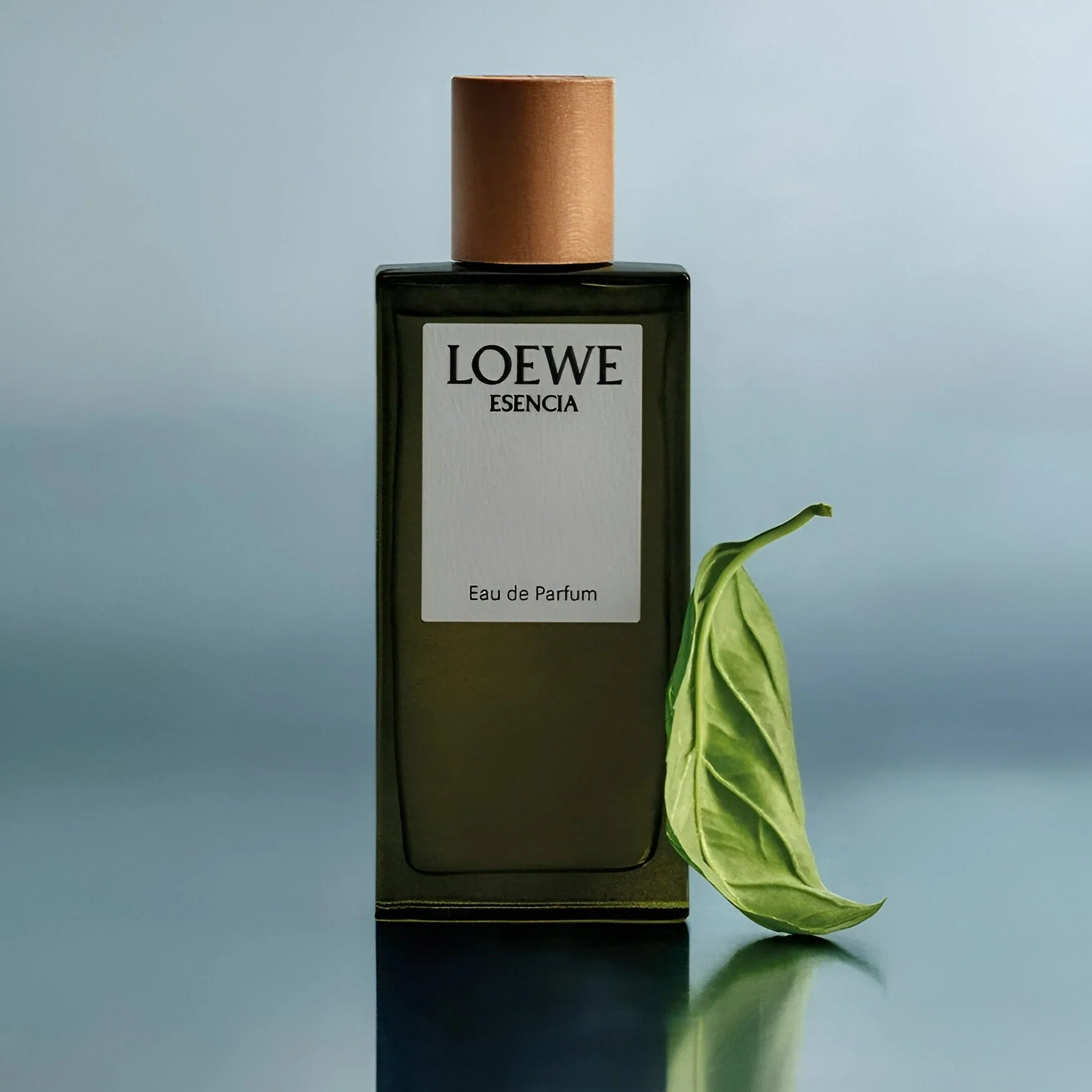 Loewe Esencia Dio Spray - Image 3