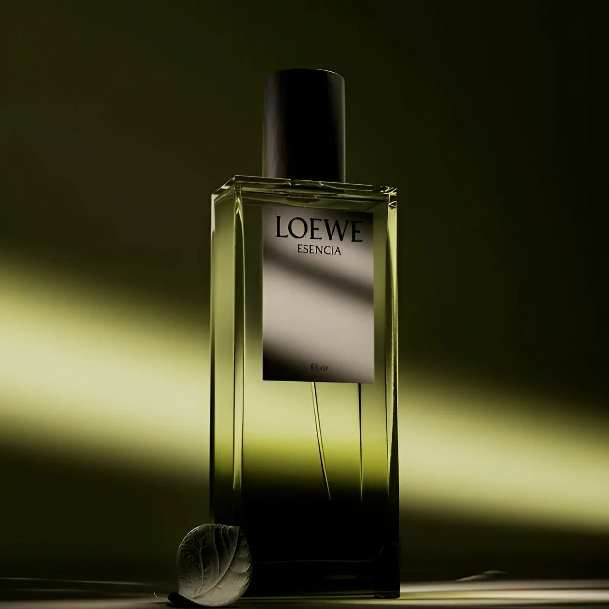 Loewe Esencia Dio Spray - Image 4