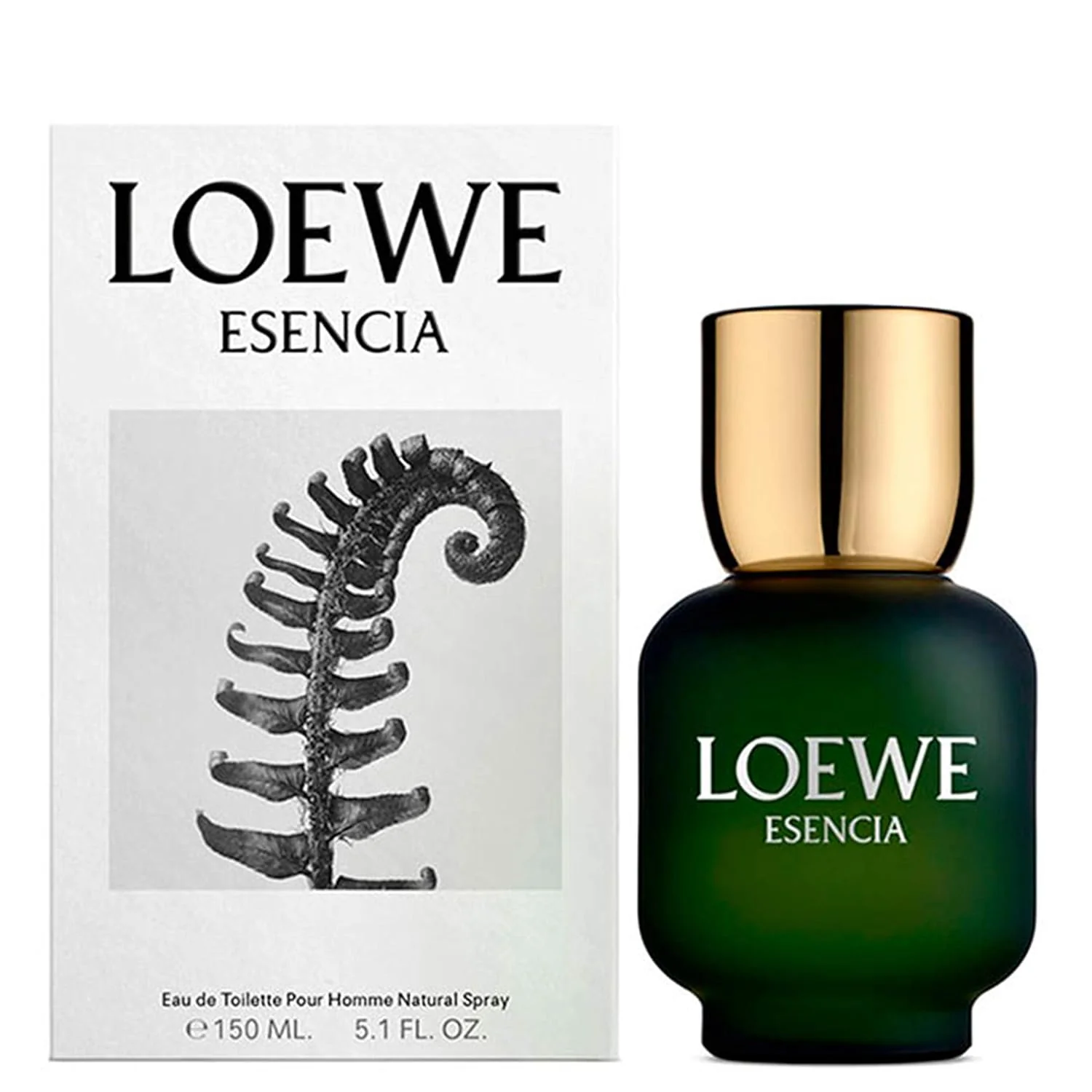 Loewe Esencia Loewe EDT - Image 5