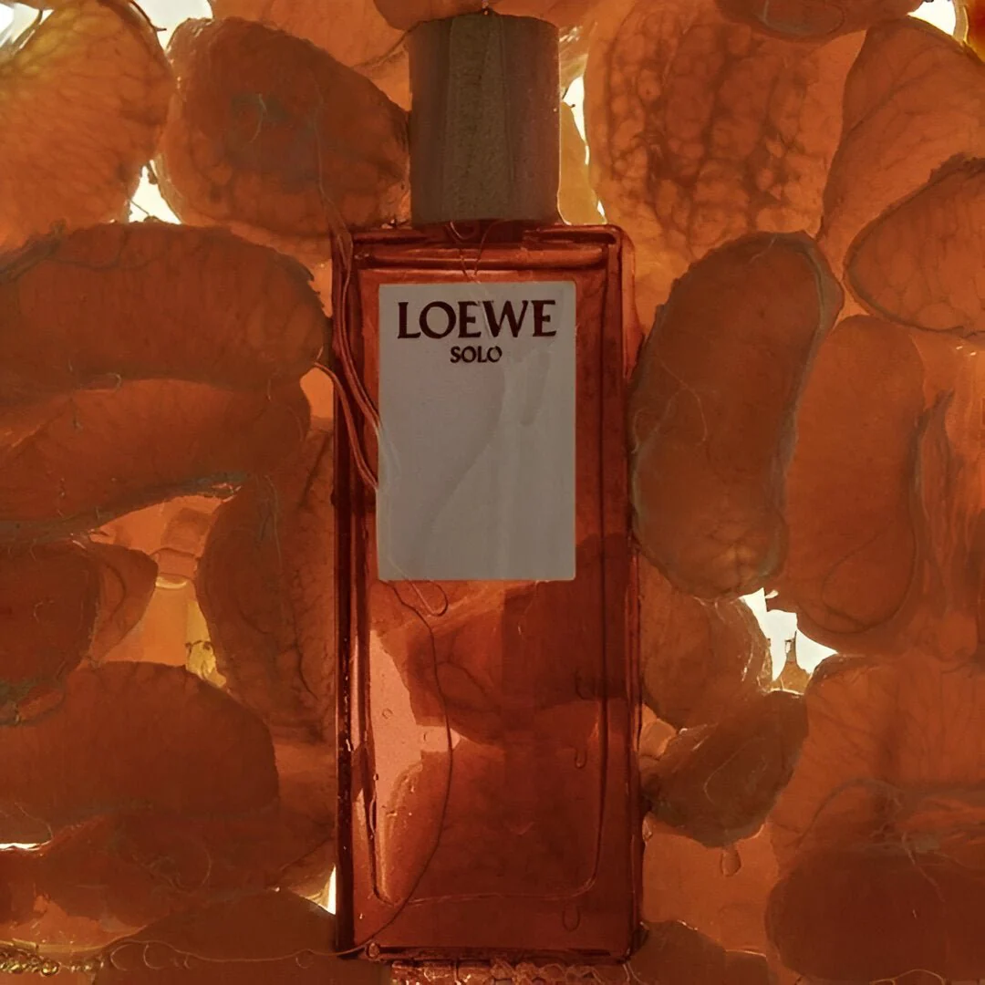 Loewe Solo Loewe EDT - Image 2