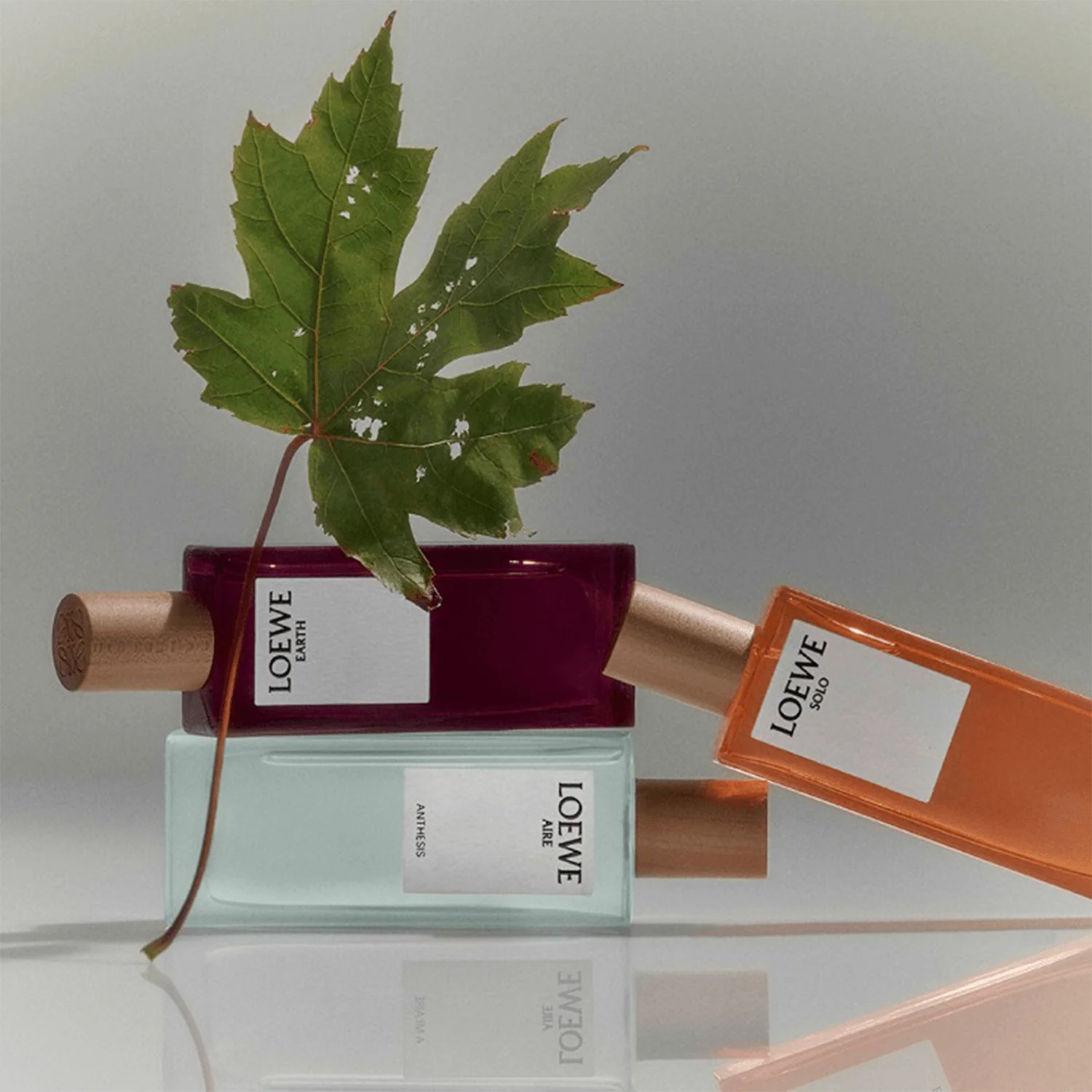 Loewe Solo Loewe EDT - Image 3