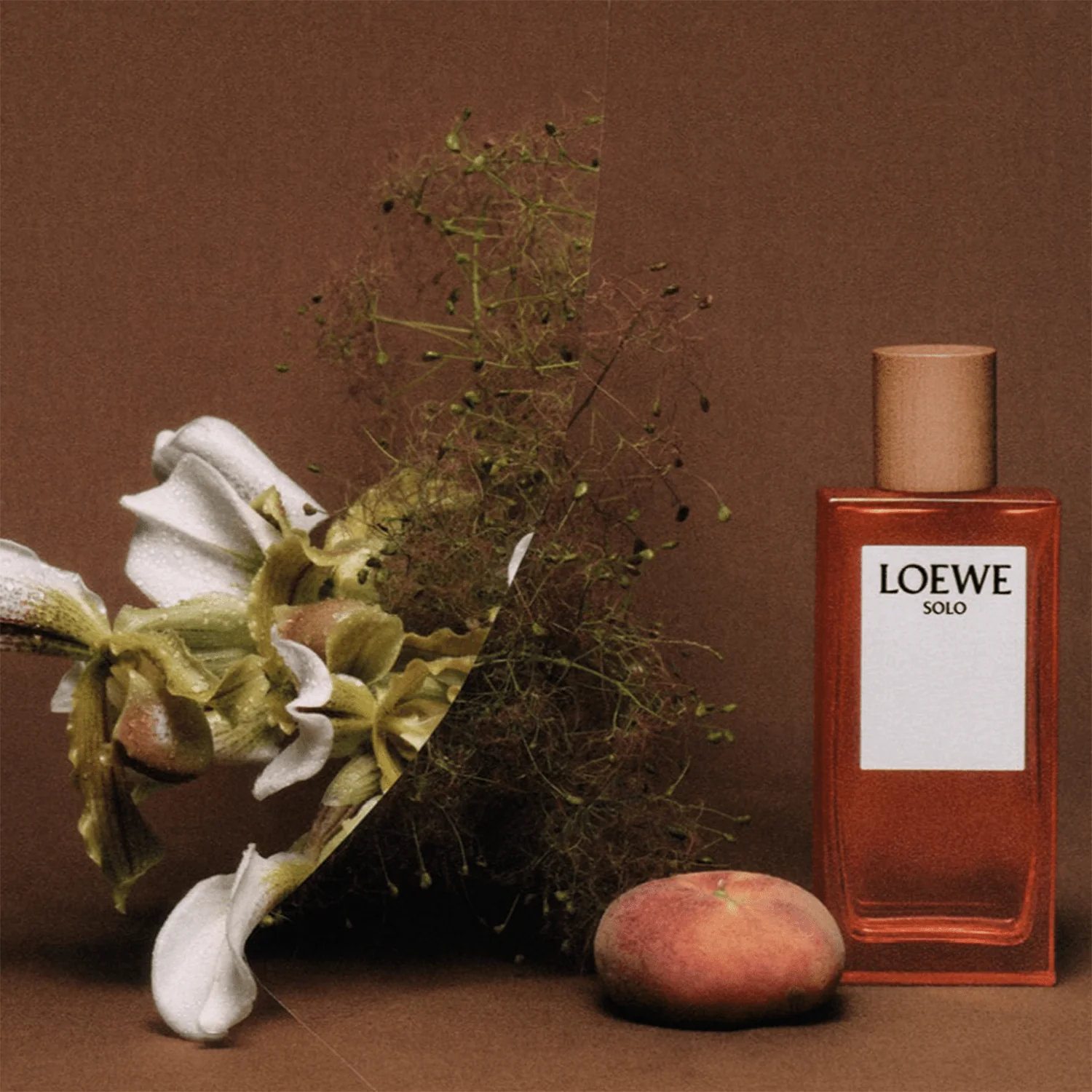 Loewe Solo Loewe EDT - Image 4
