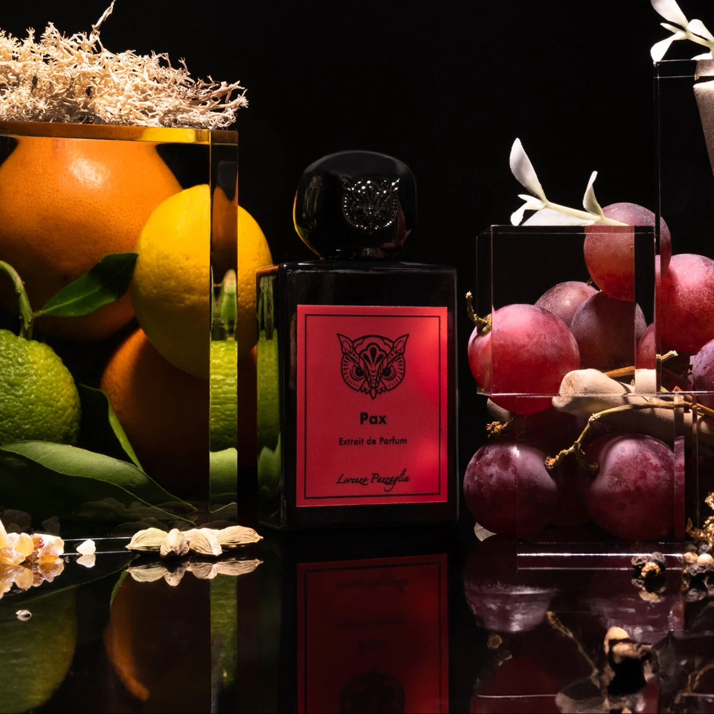 Lorenzo Pazzaglia Pax Extrait de Parfum - Image 3