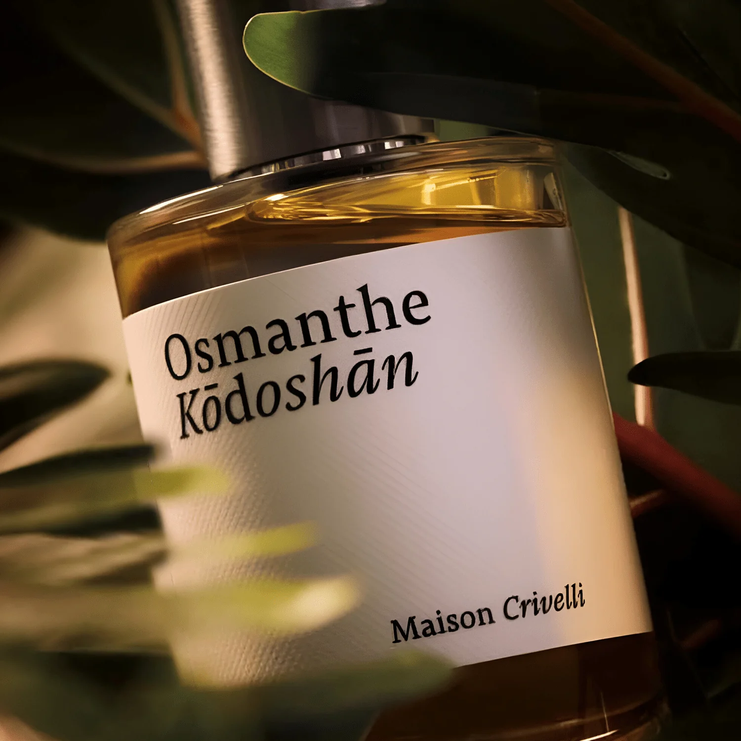 Maison Crivelli Osmanthe Kodoshan EDP - Image 2